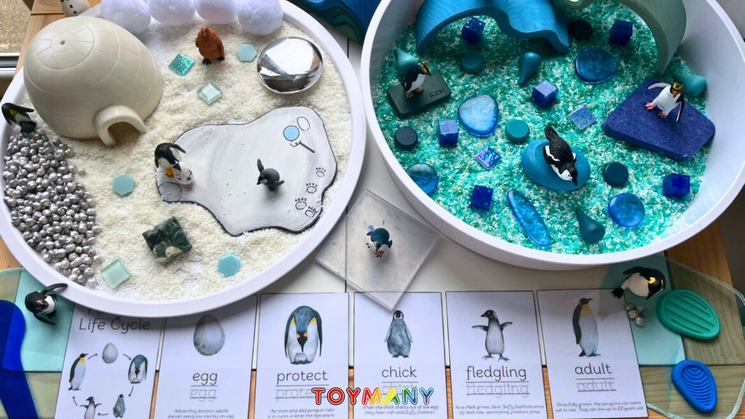 Discover the Amazing World of Penguins with Toymany