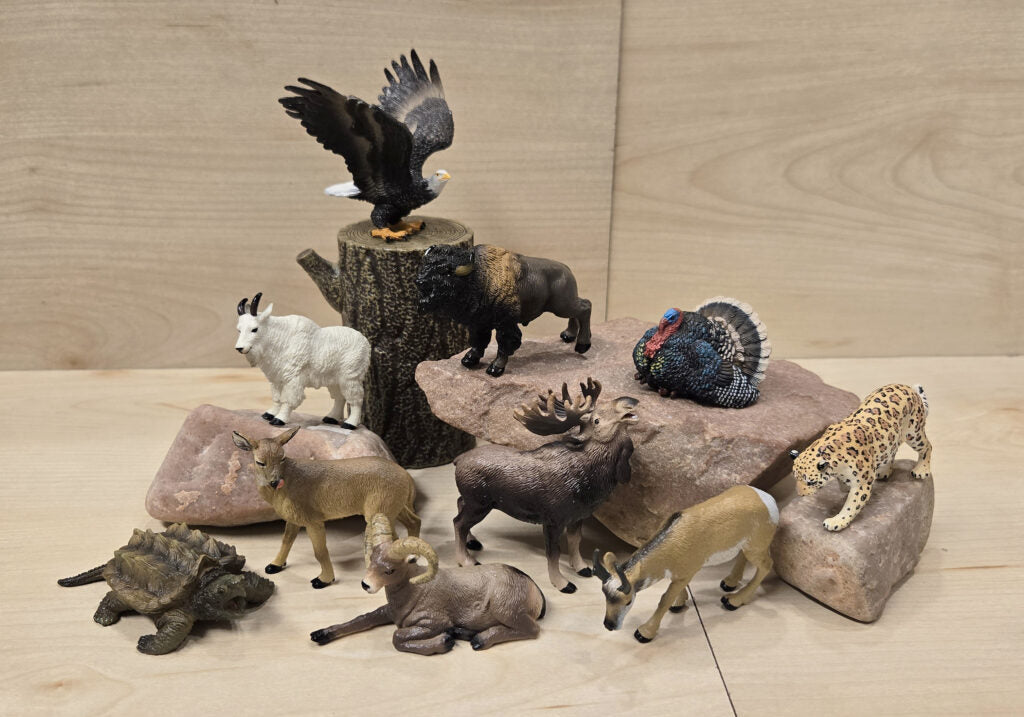 Toymany Mini North American Animals Playset Review By @bmathison1972