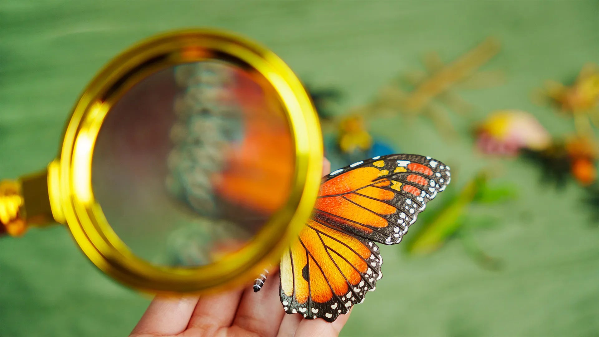 The Creative Story Behind Toymany's New Insect Playset