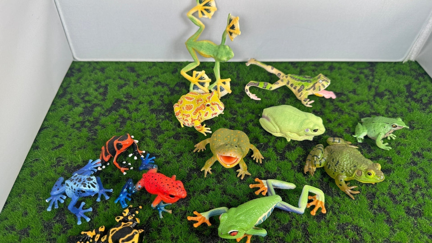 Toymany Frogs Review by Steven Allain