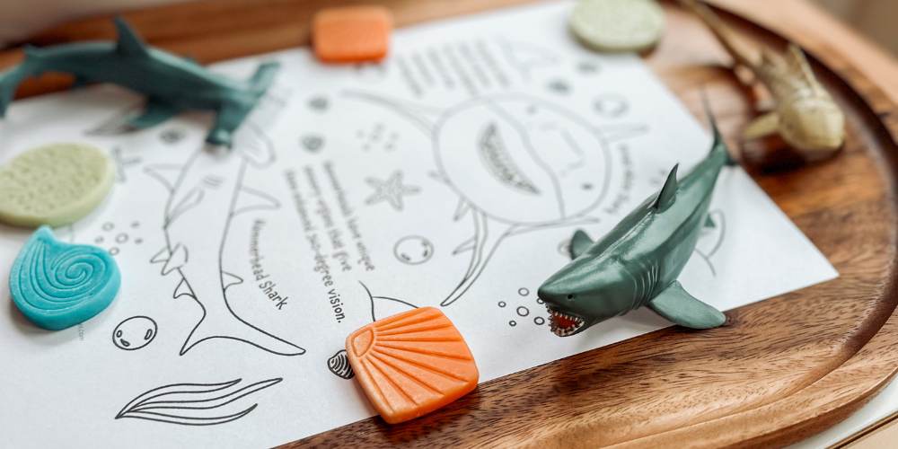sharkman　トルボー3点セット Start Your Ocean Adventure with Toymany Sharks | Educational Playset