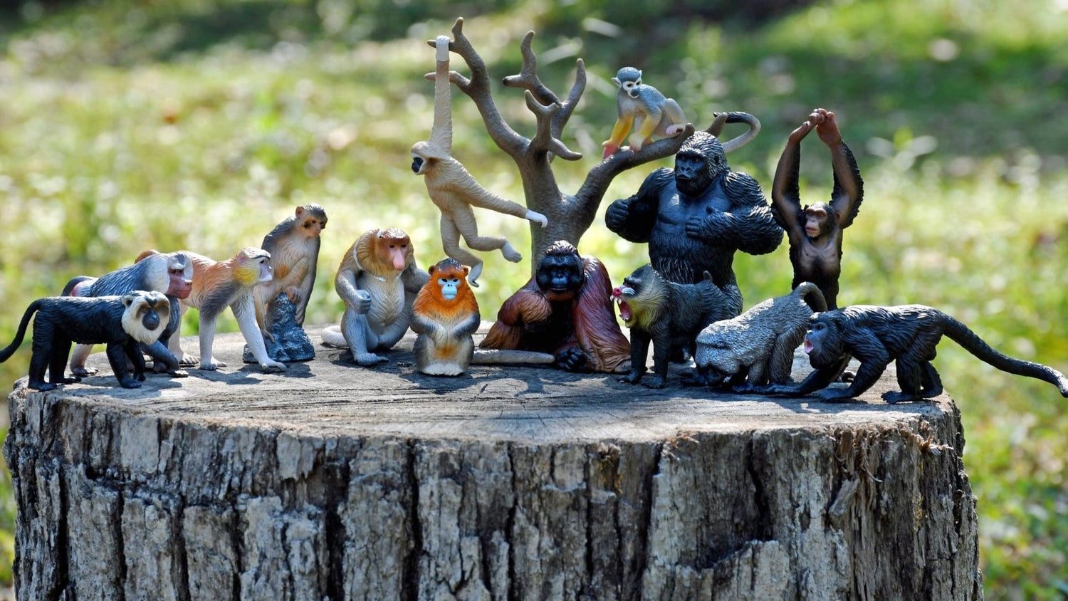 Observing Primate Social Behavior with Toymany Animal Figurines