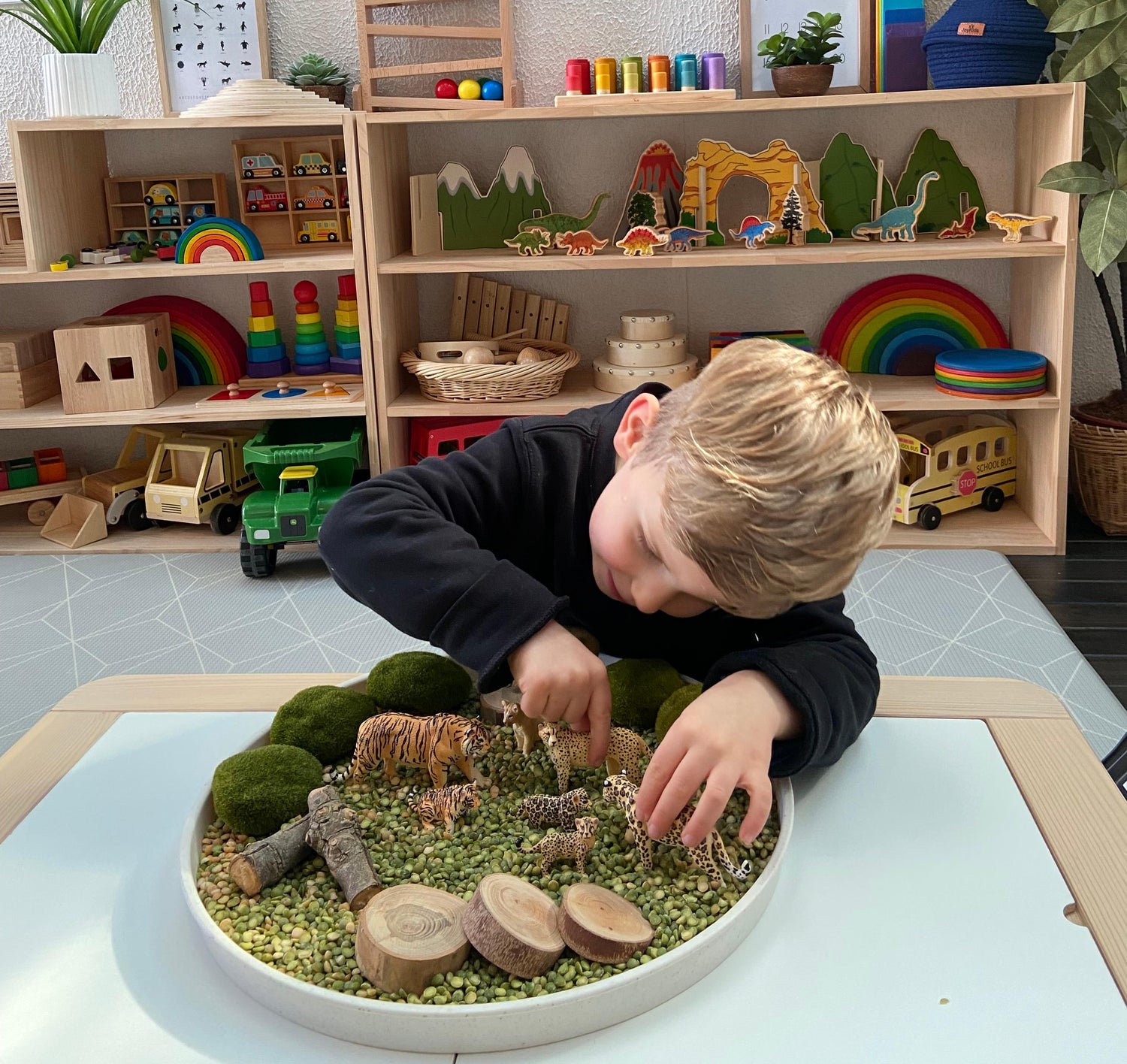 Get Creative with Directions Teaching Using Toymany Animal Figurines