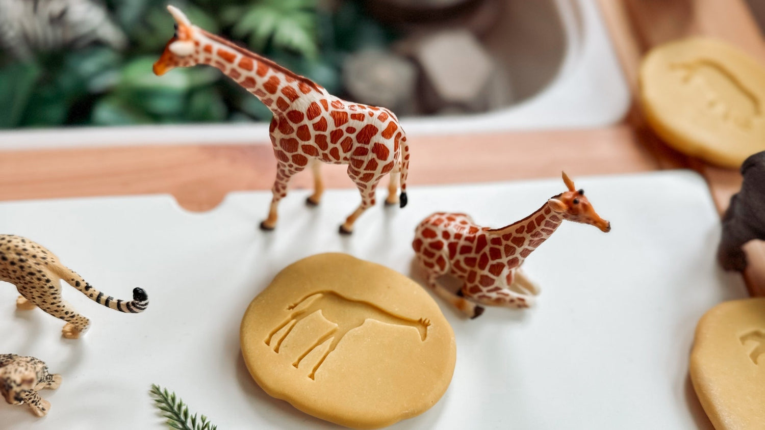 Built to Last, Meant to Matter