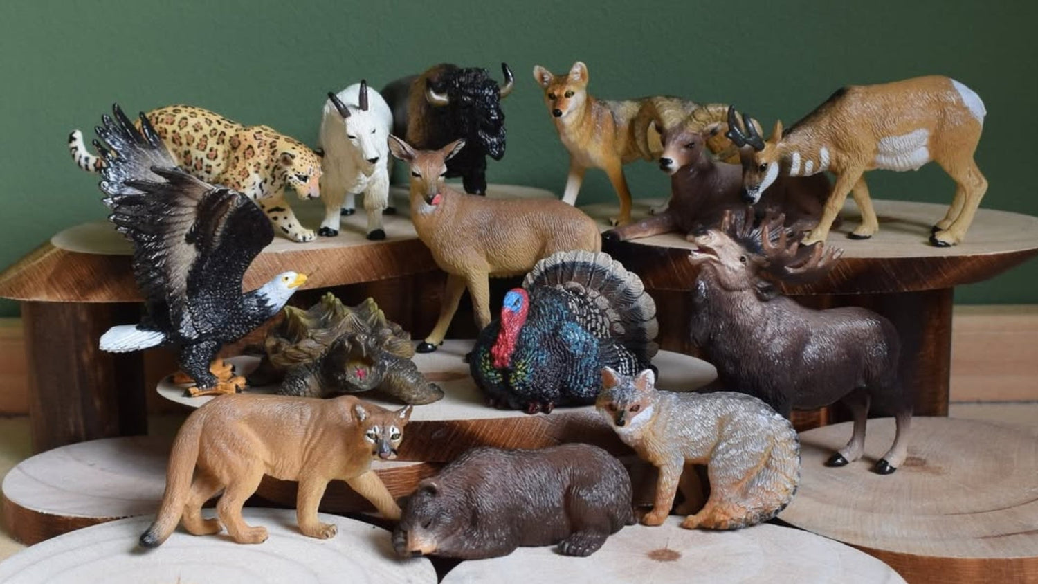 North American Wildlife Panorama: A Habitat Adaptation Guide