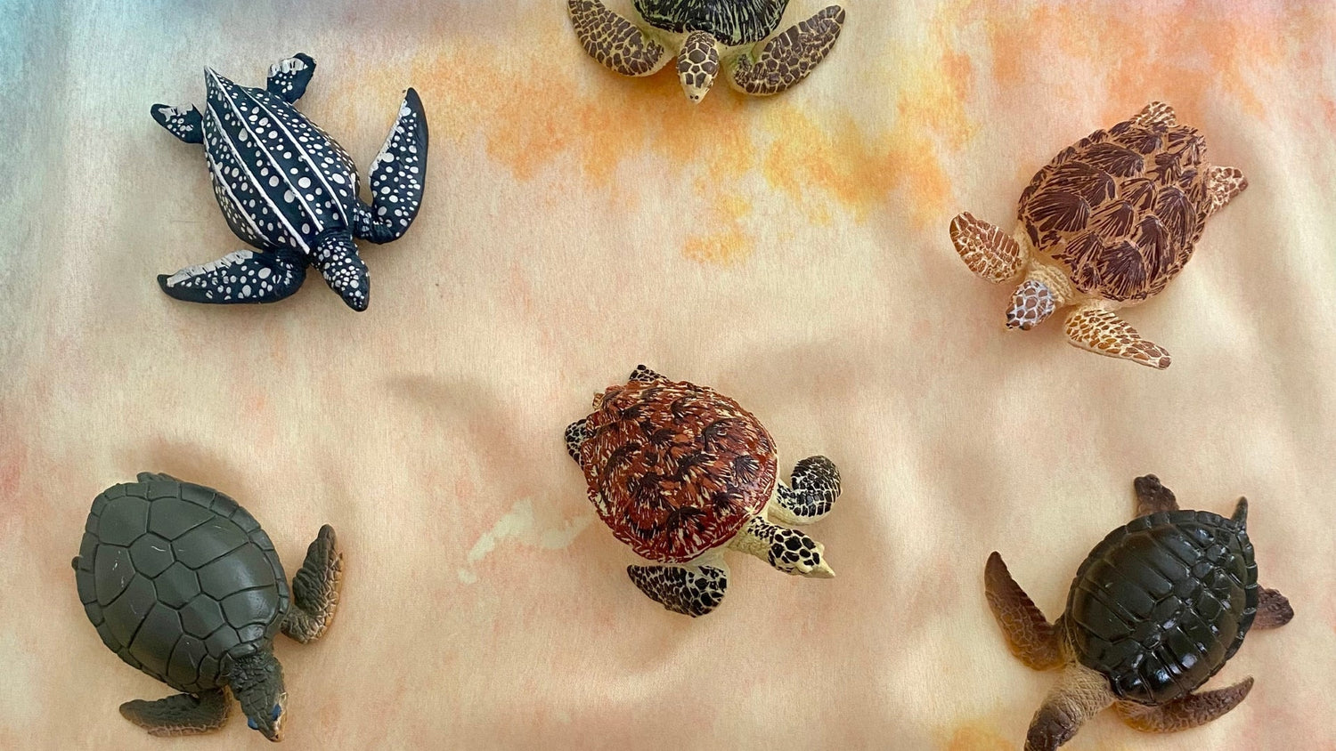 Reviewing the Toymany 6-Piece Sea Turtle Figurine Playset by Steven Allain