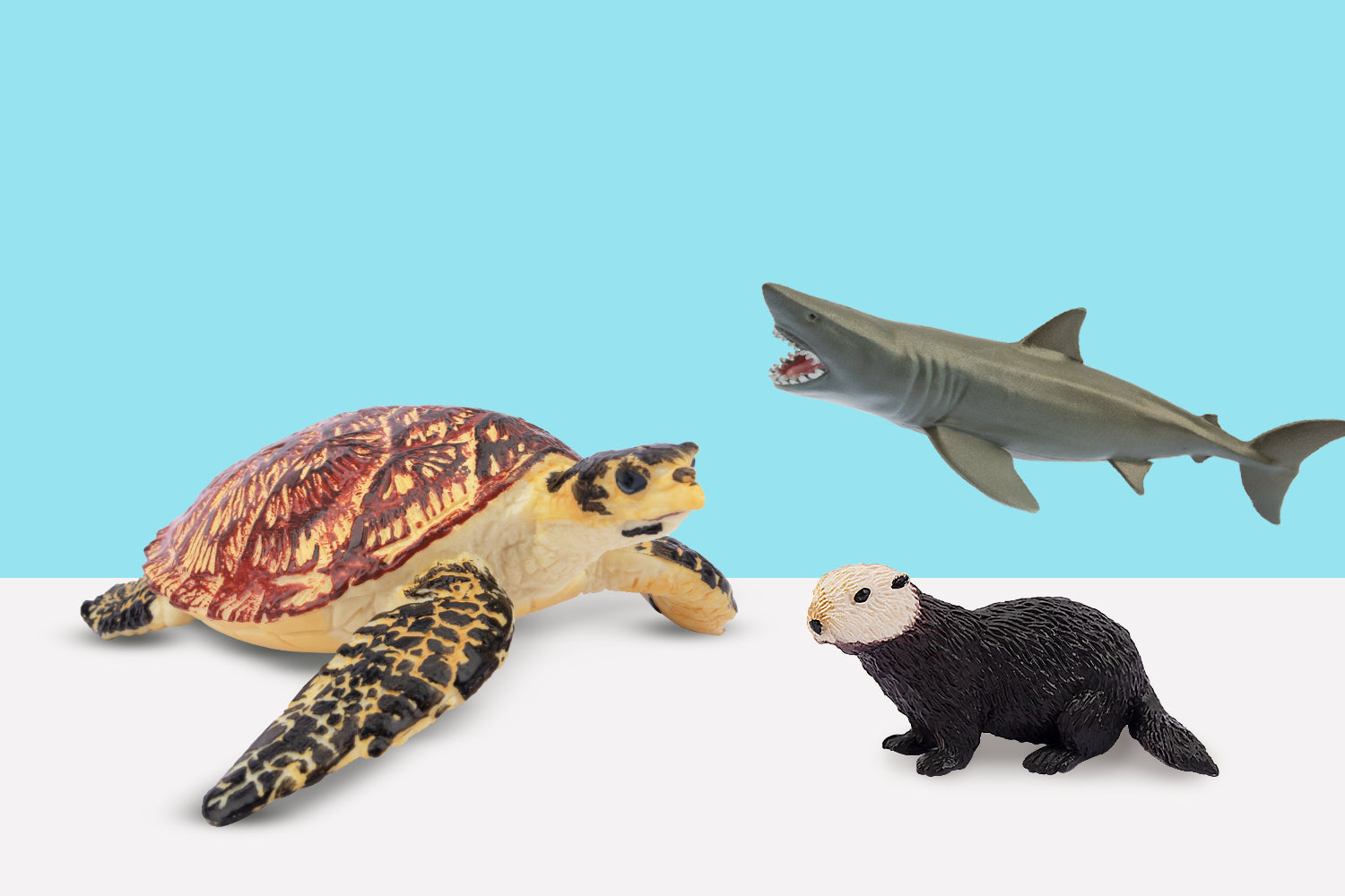Sea Animal Collection