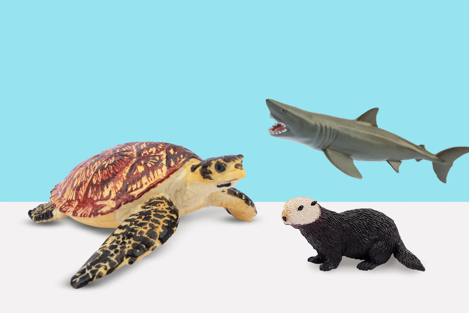 Sea Animal Collection