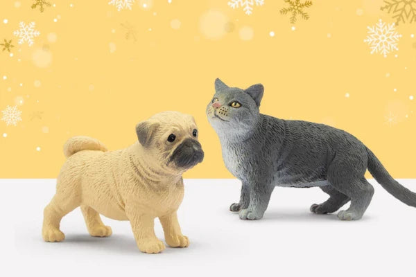 Pet Animal Collection