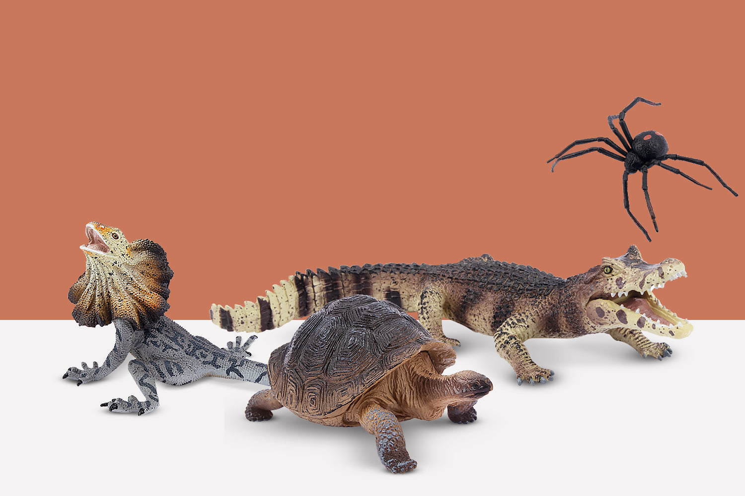 Reptile Realm
