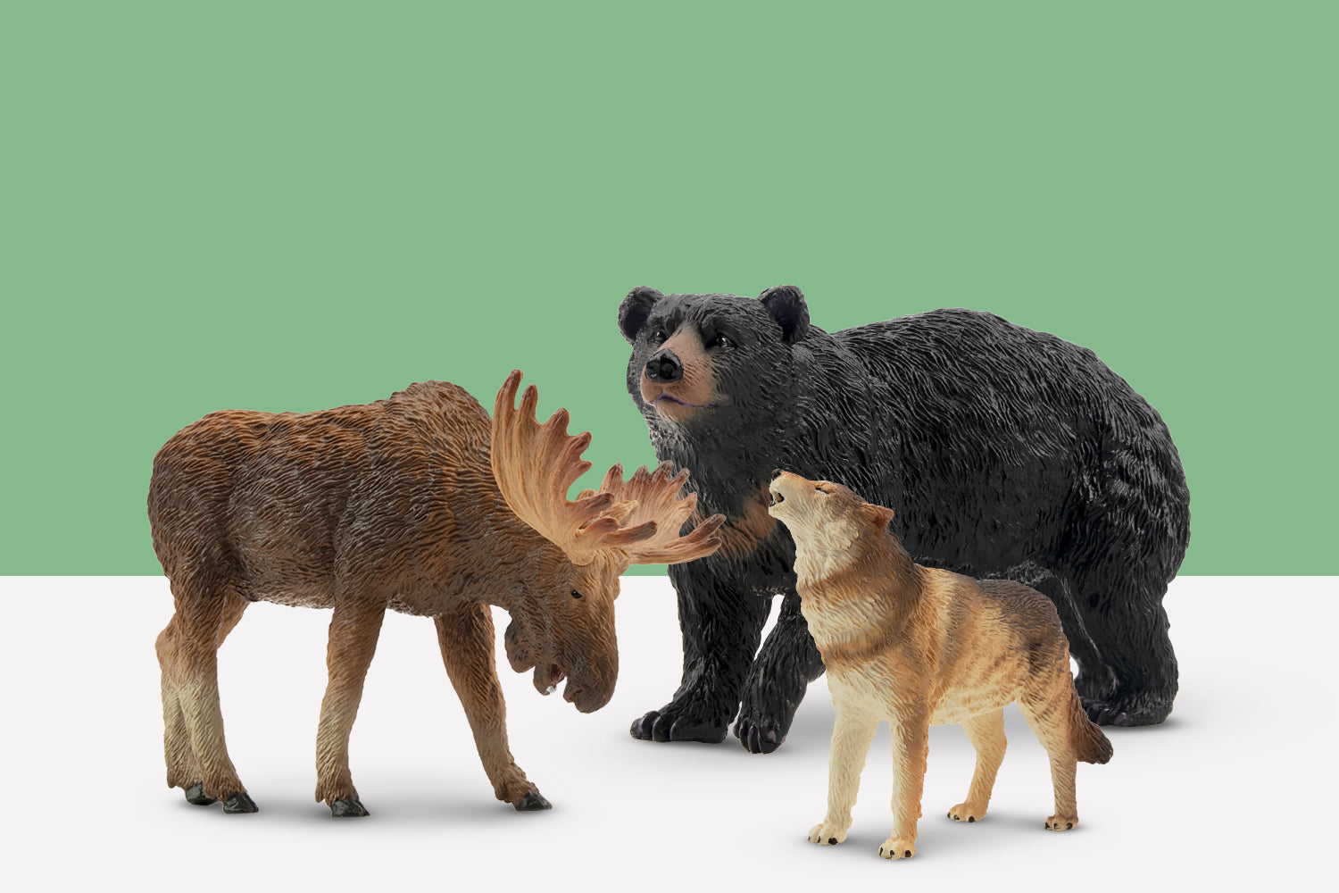 Wildlife Treasures
