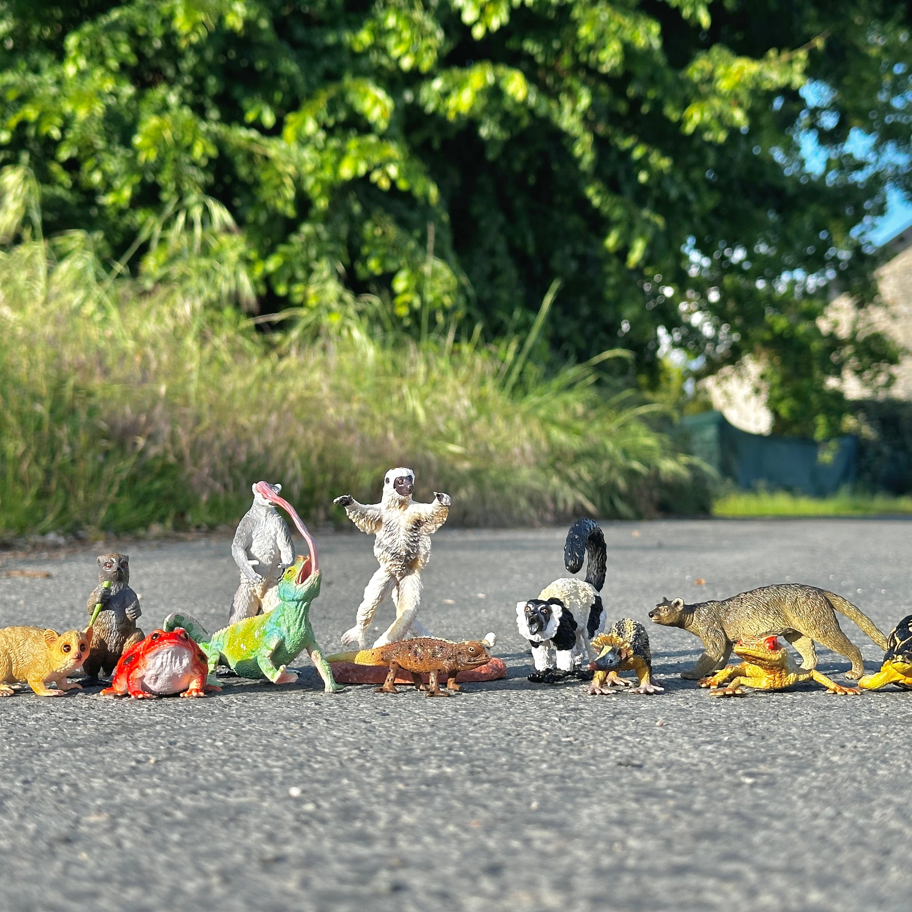 12-teiliges Madagaskar-Tierfiguren-Spielset