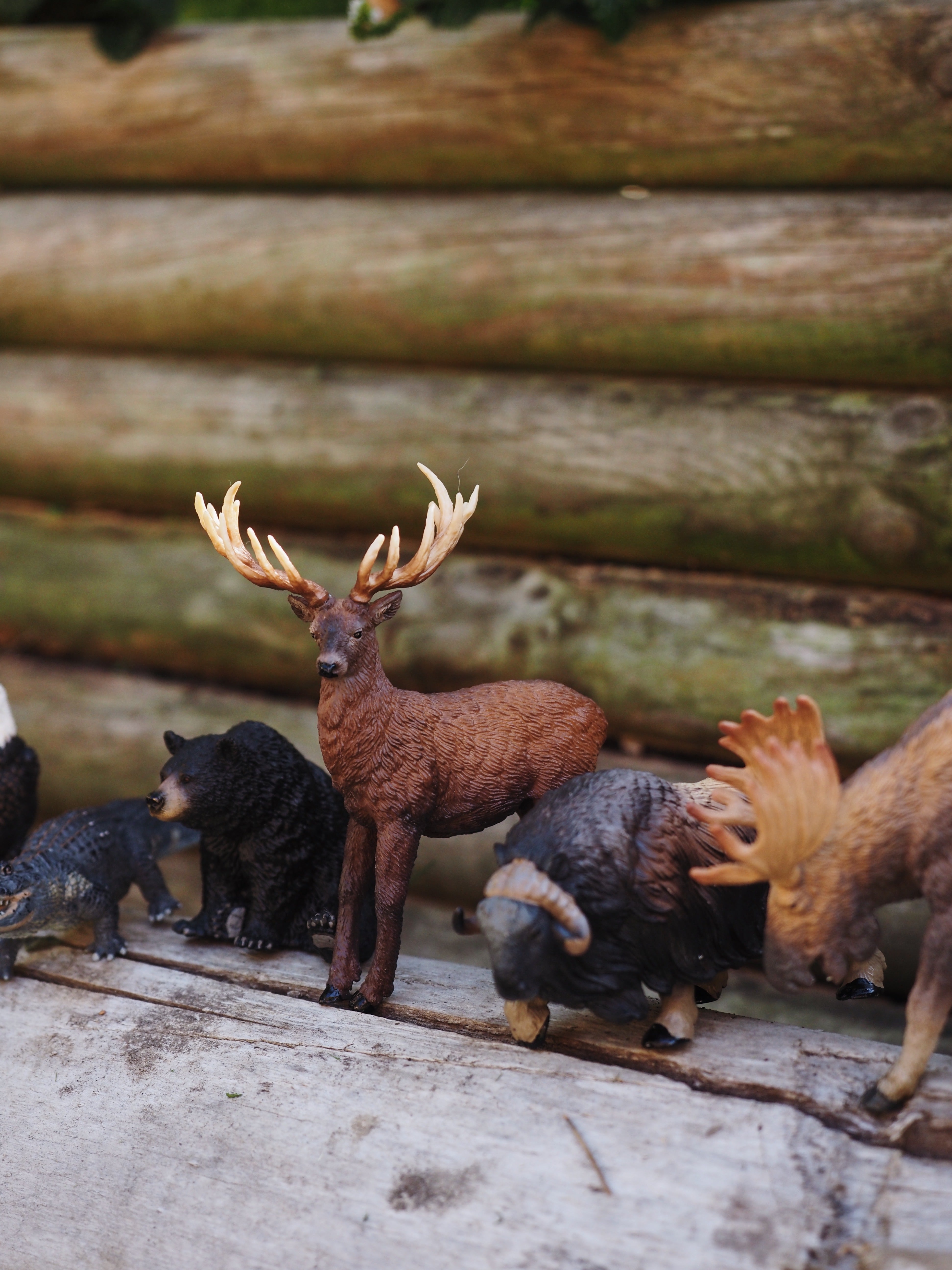 12-Piece North American Forest Animals Figurine Playset