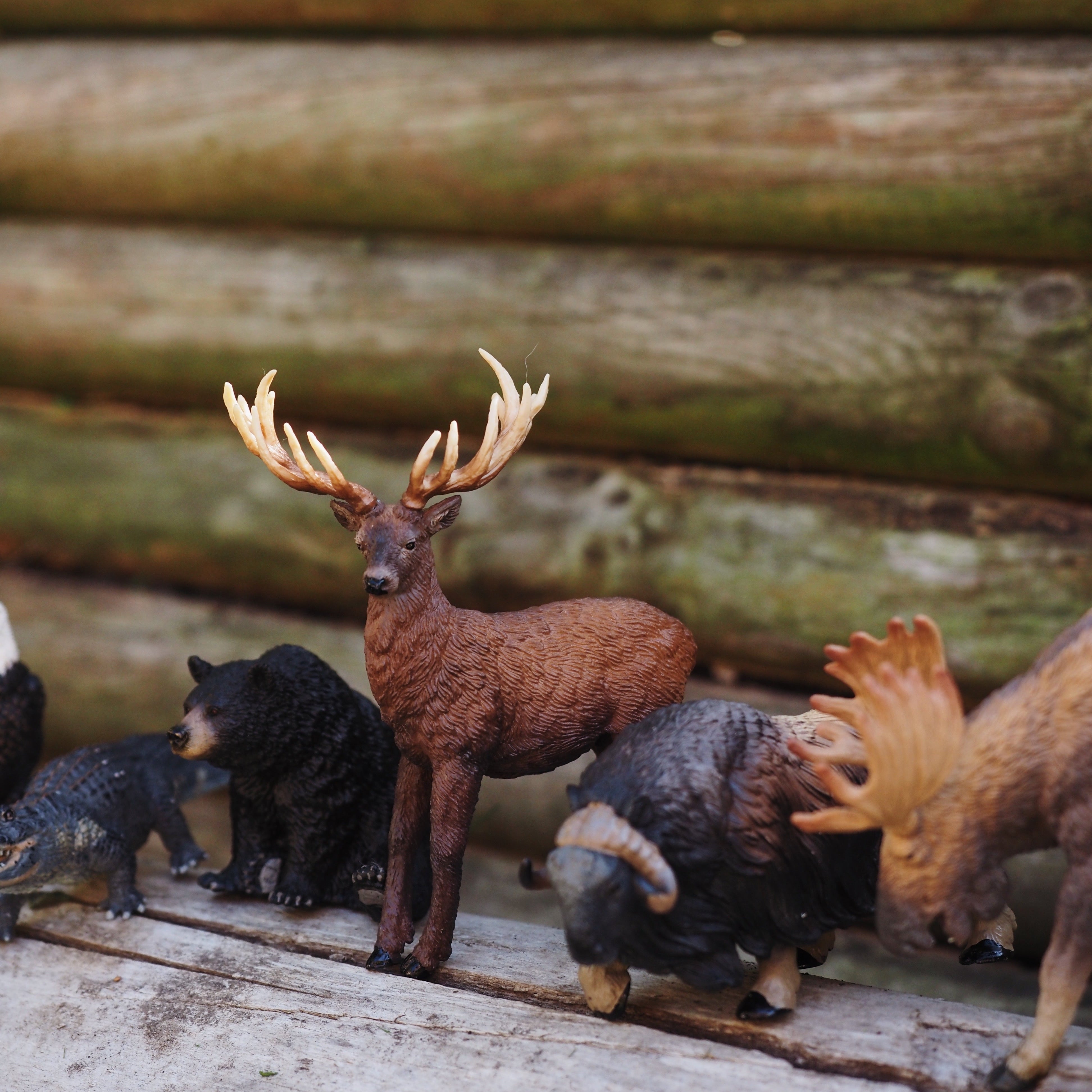 Juego de 12 piezas de figuras de animales del bosque de América del Norte