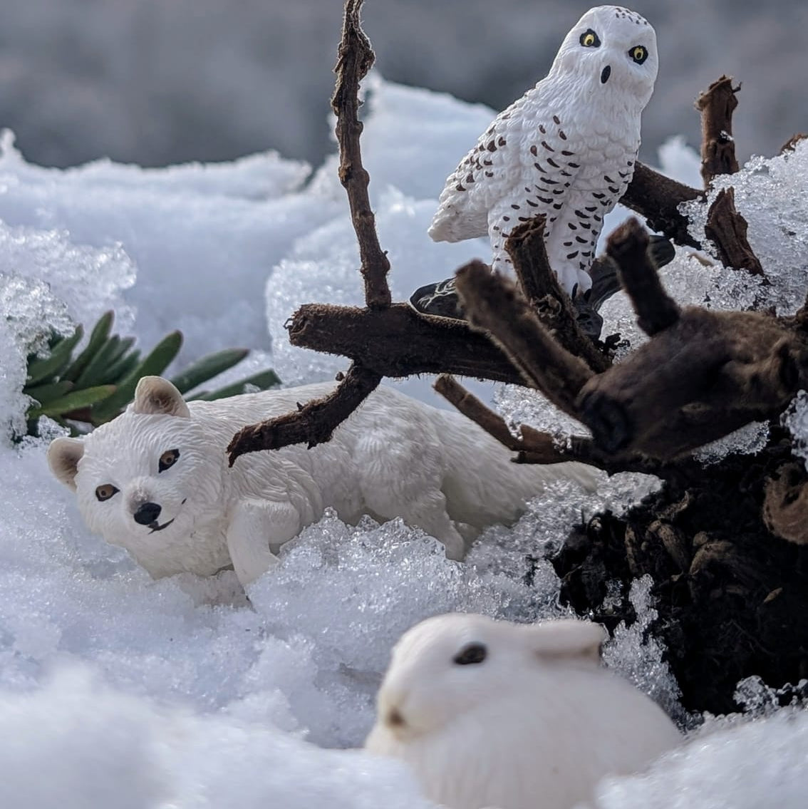 مجموعة ألعاب حيوانات قطبية صغيرة الحجم مكونة من 14 قطعة