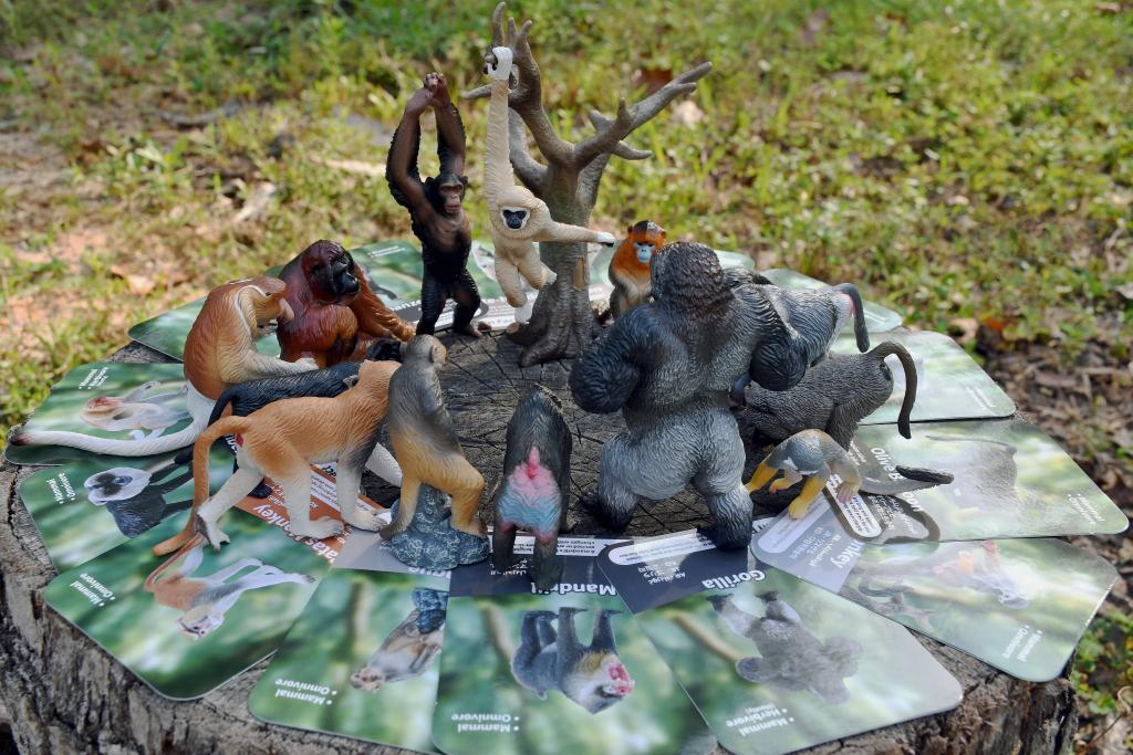 Coffret de 15 Figurines de Primates (Singes & Grands Singes)