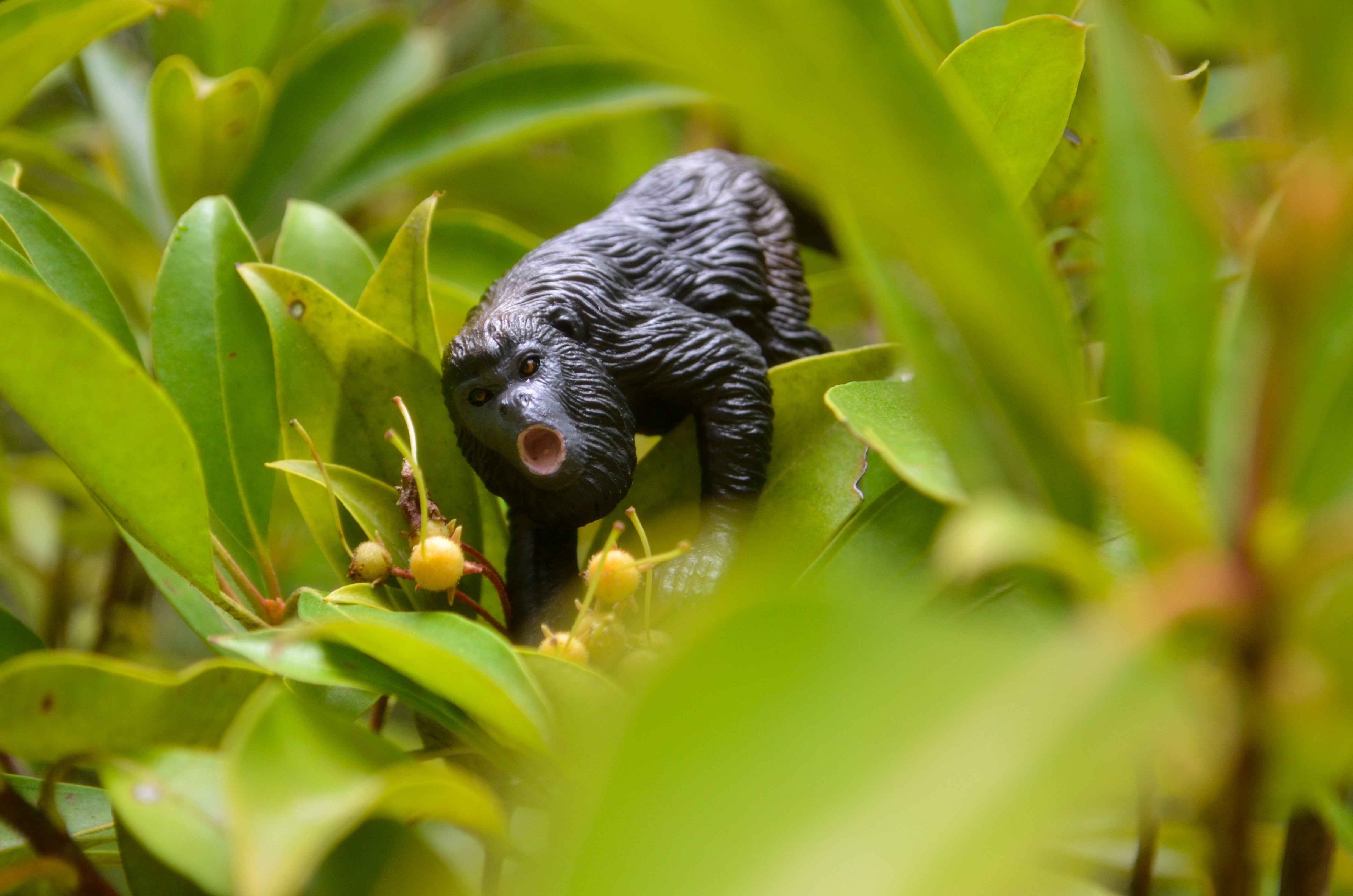 Coffret de 15 Figurines de Primates (Singes & Grands Singes)