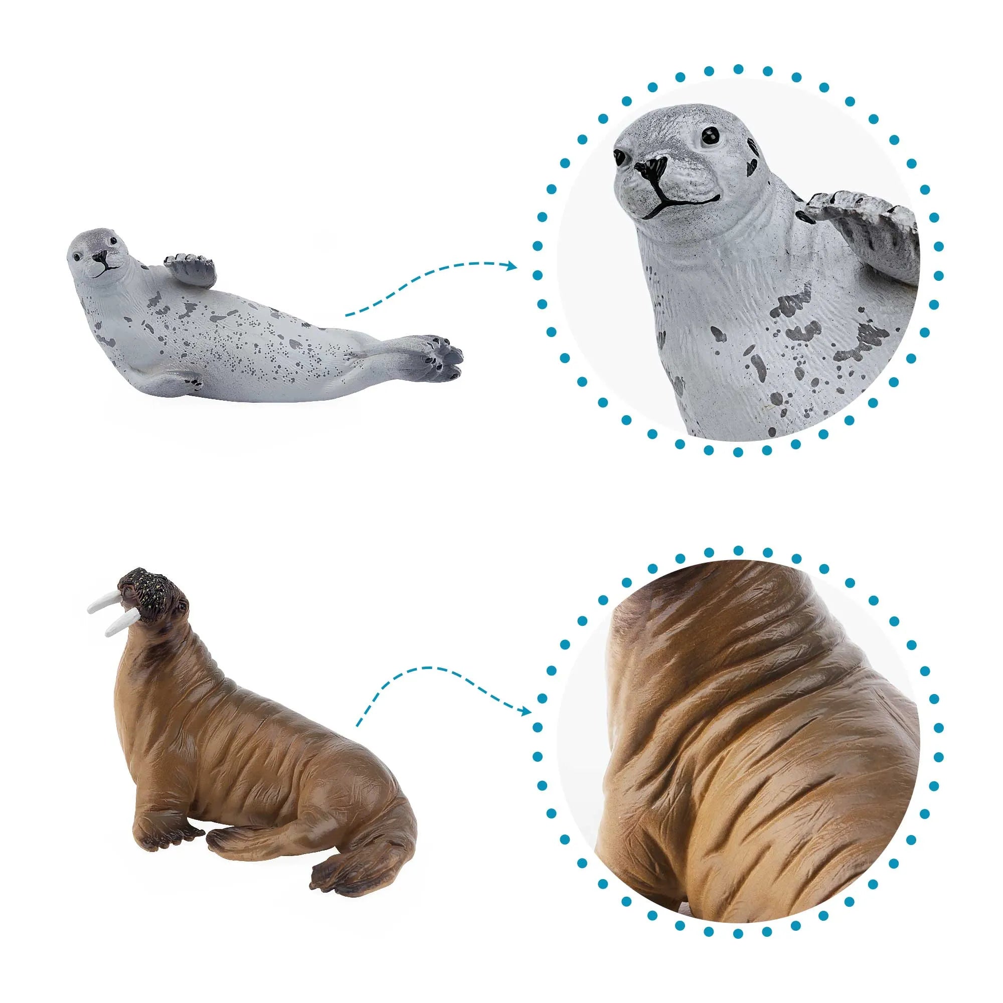 5-Piece Marine Mammal Figurines Bundle-2