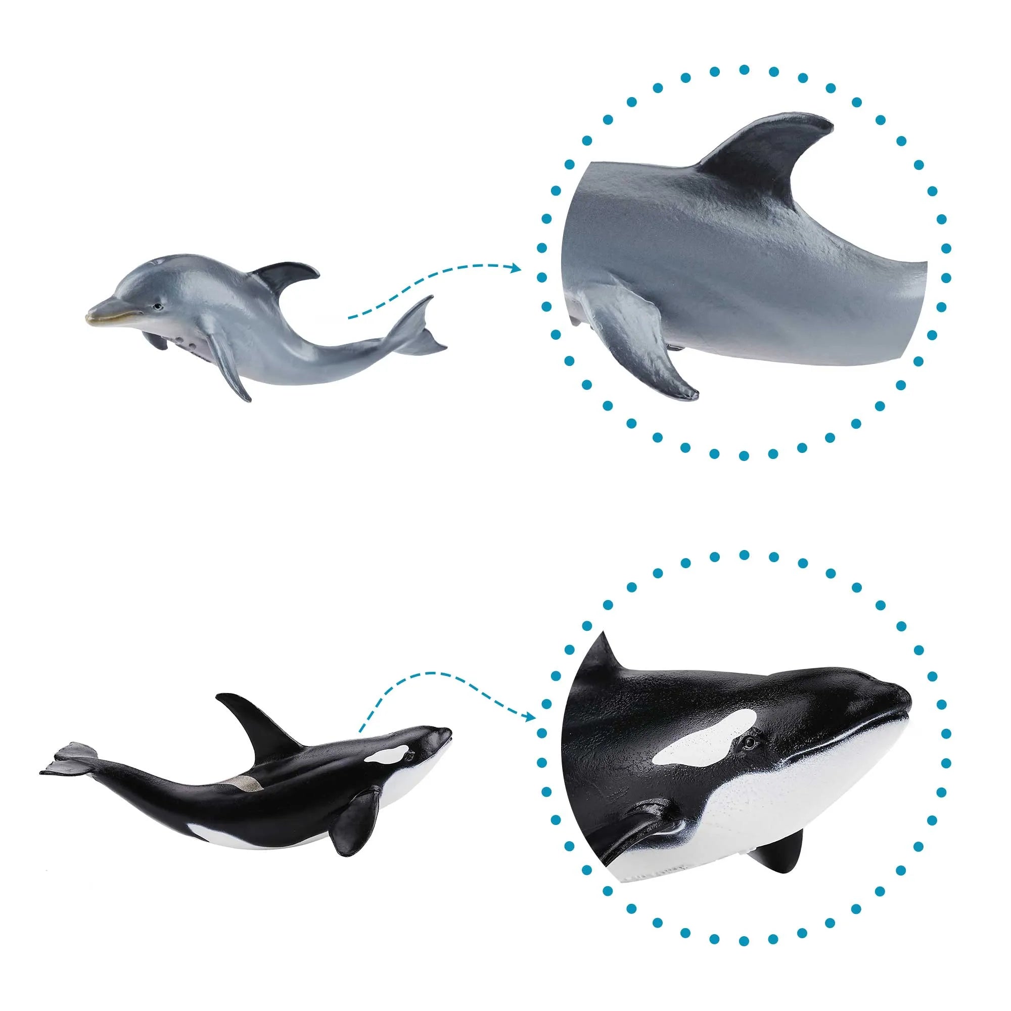 5-Piece Marine Mammal Figurines Bundle-3