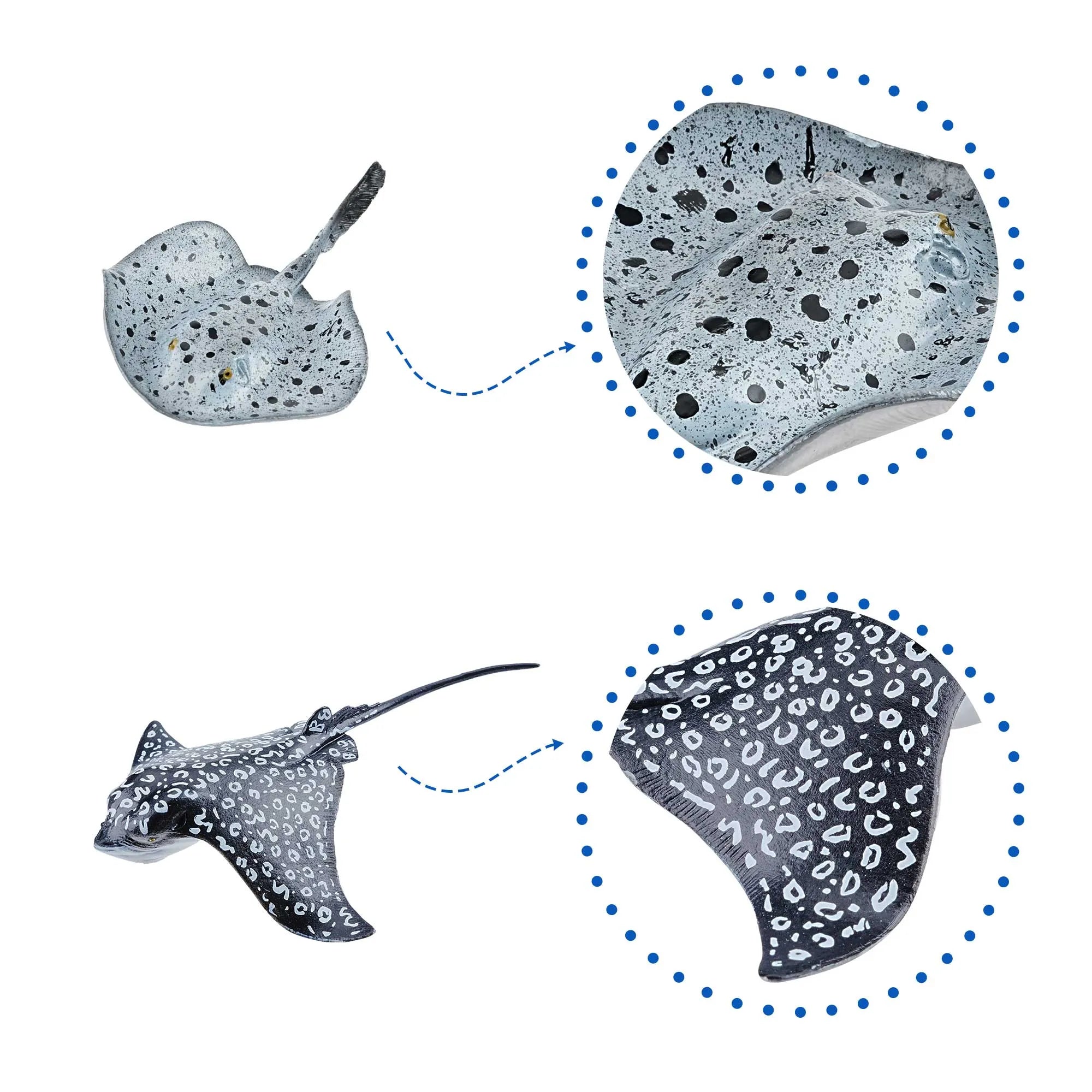5-Piece Ray Figurines Bundle-2