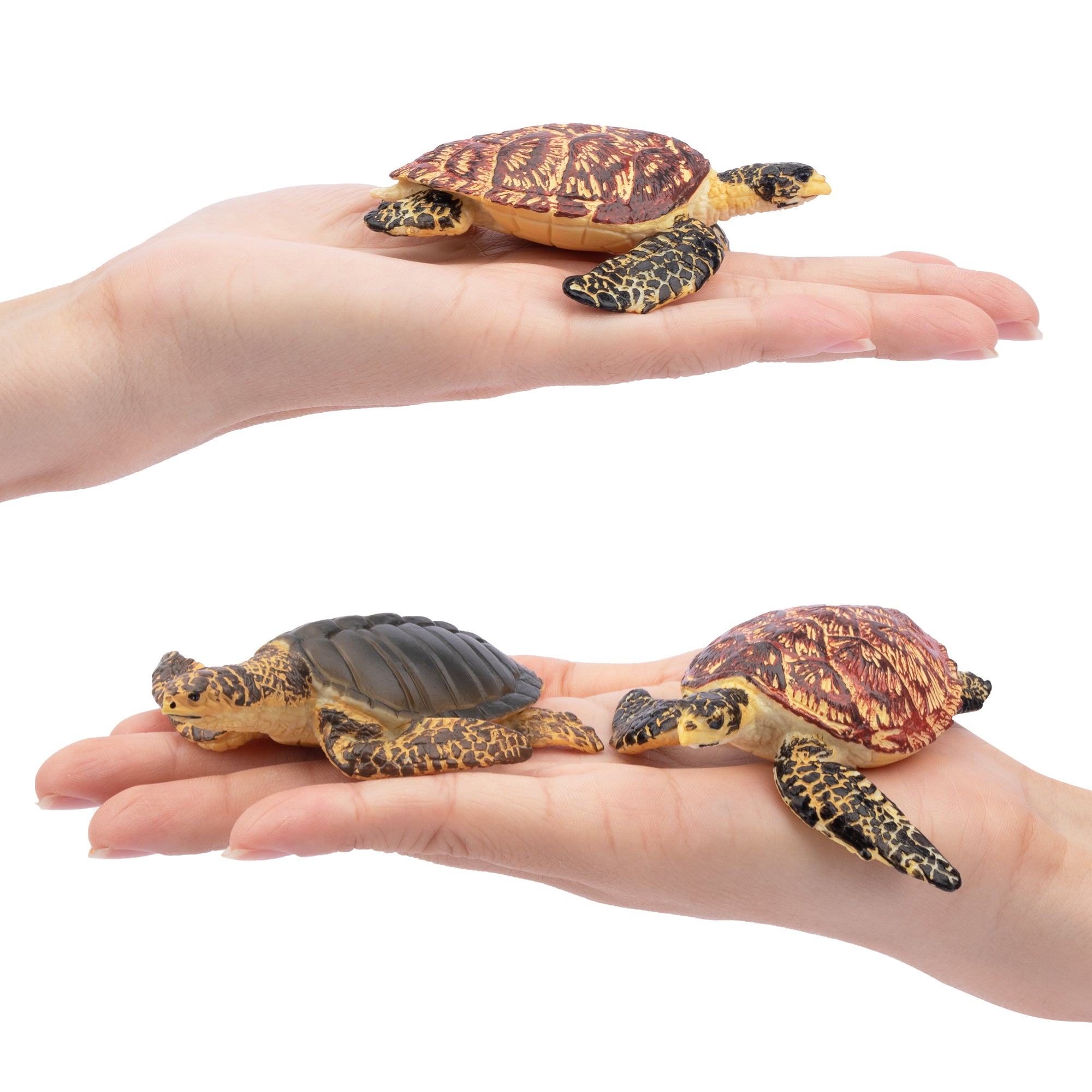 6-Piece Sea?Turtle Animal Figurines Playset-on hand