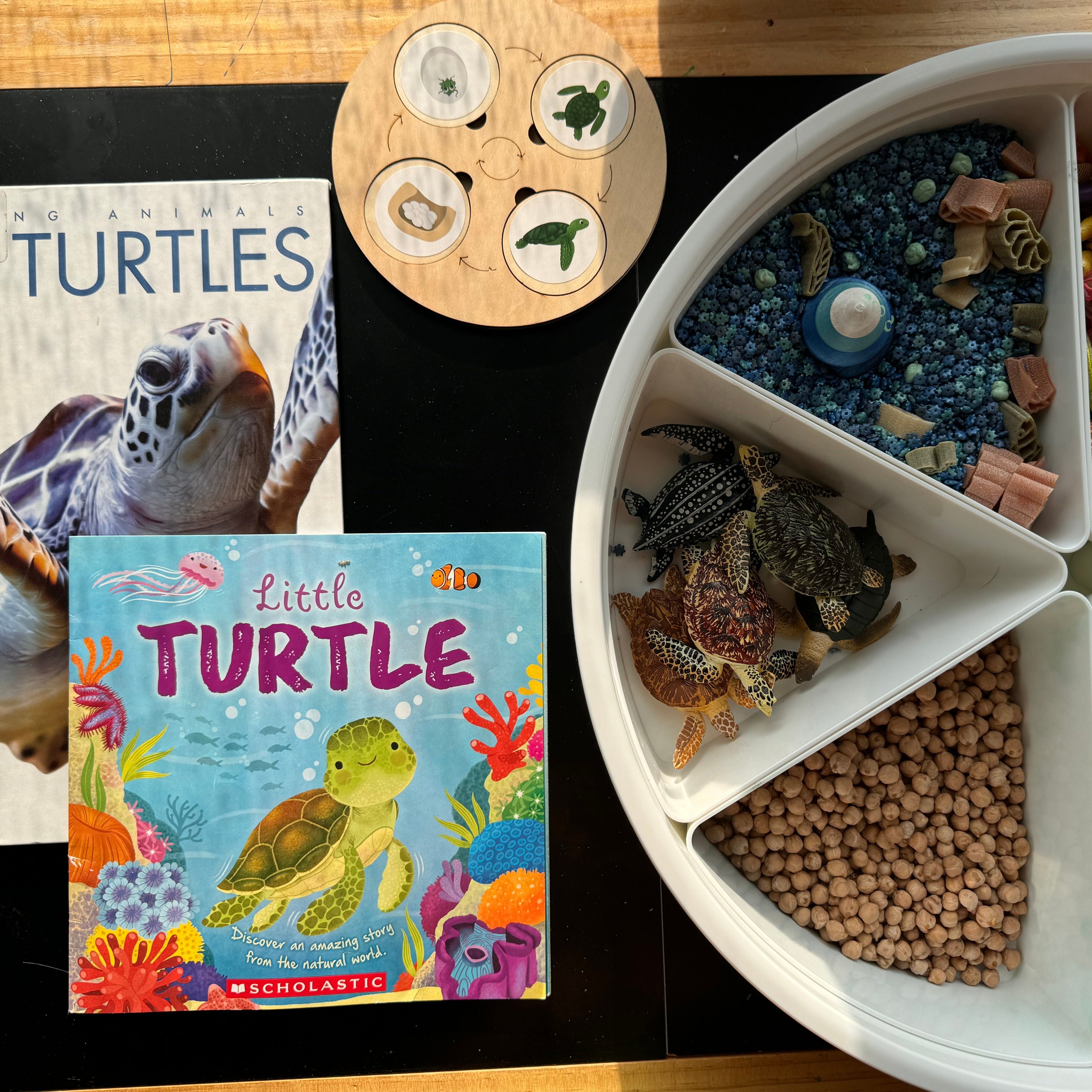 6-Piece Sea Turtle Figurine Playset