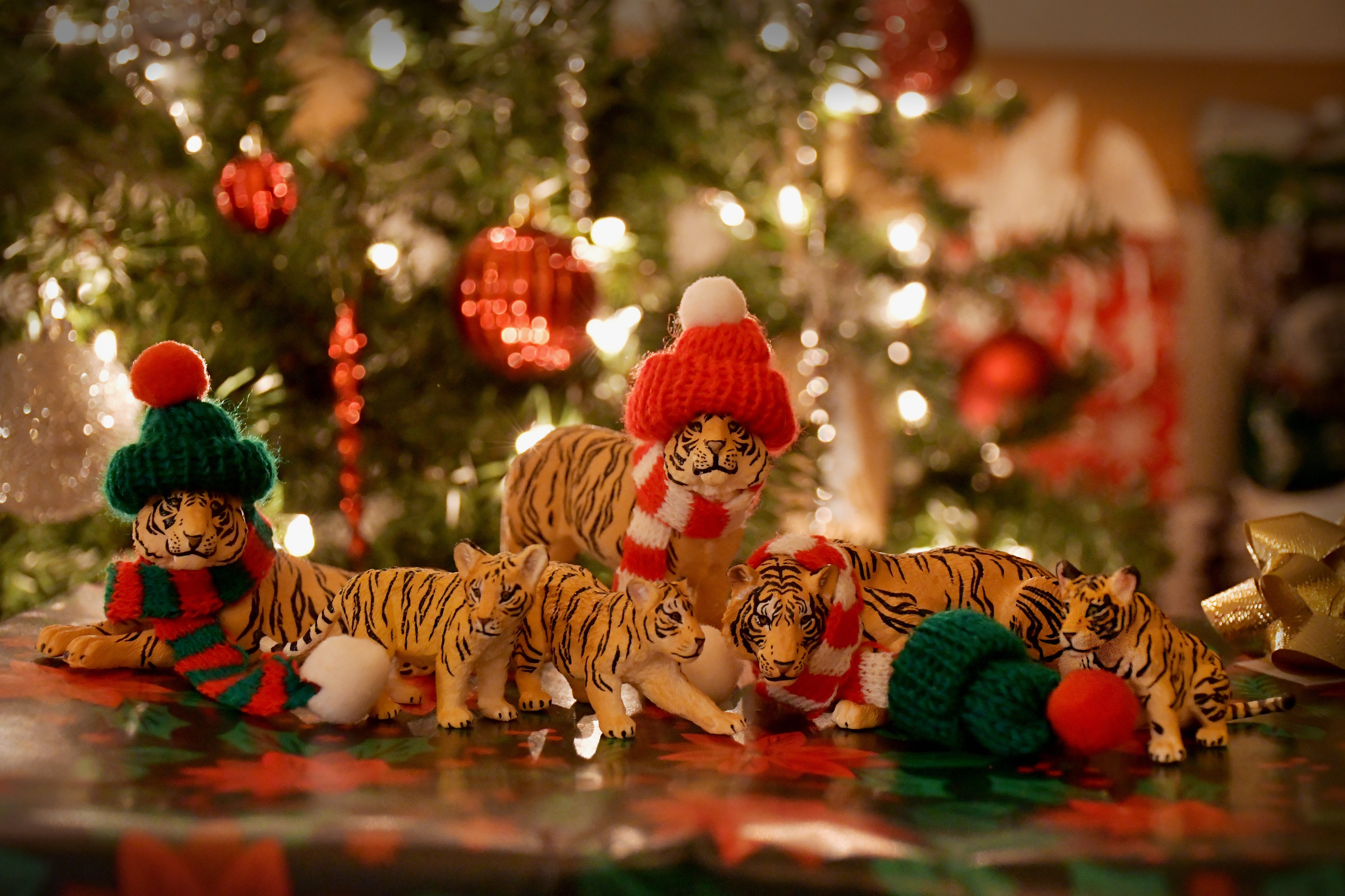 Jeu de 6 Pièces Famille Tigre Toymany