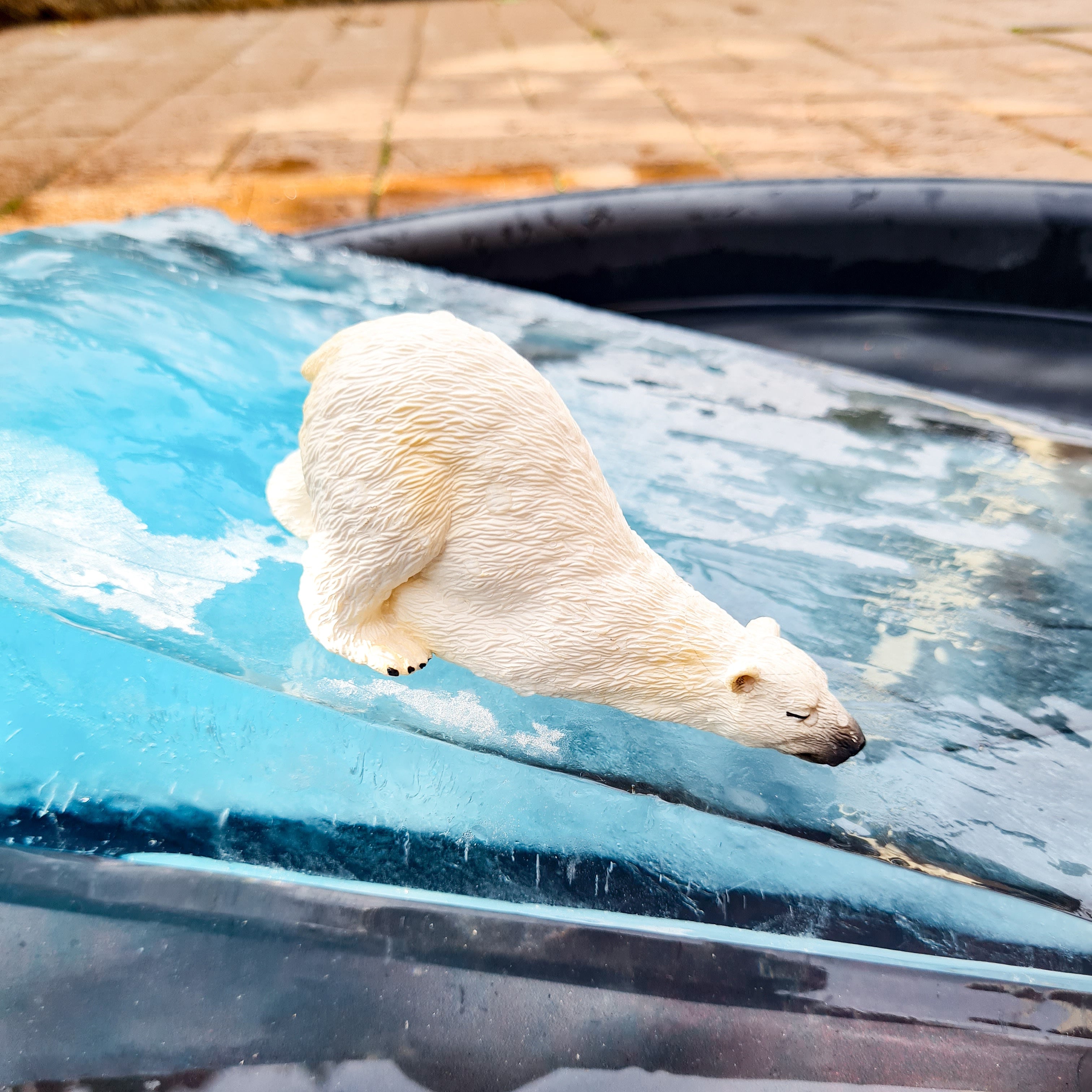 6-Piece Wild Bear Figurine Playset