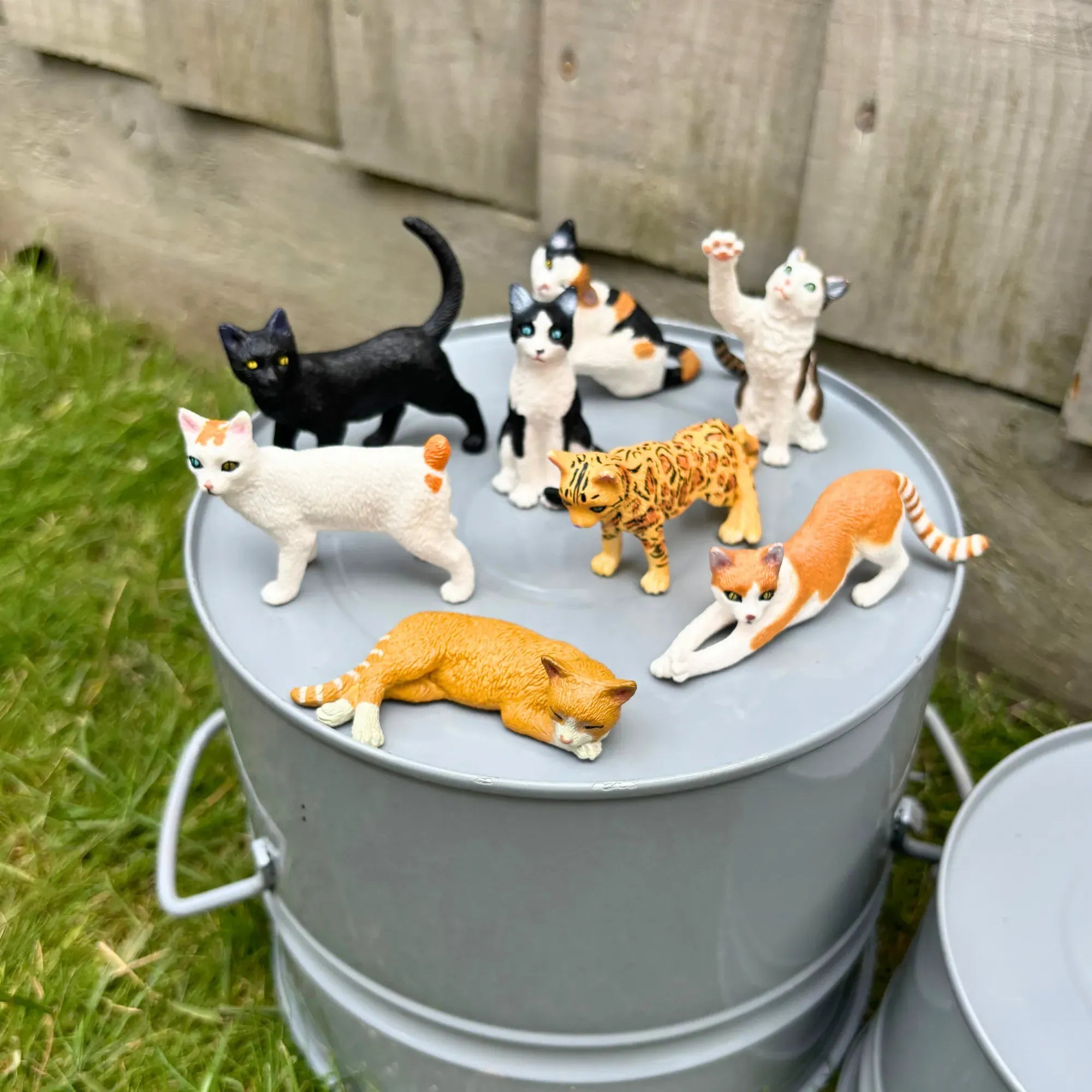 8-Piece?Mini?Cat?Animal?Figurines?Playset-scene 1