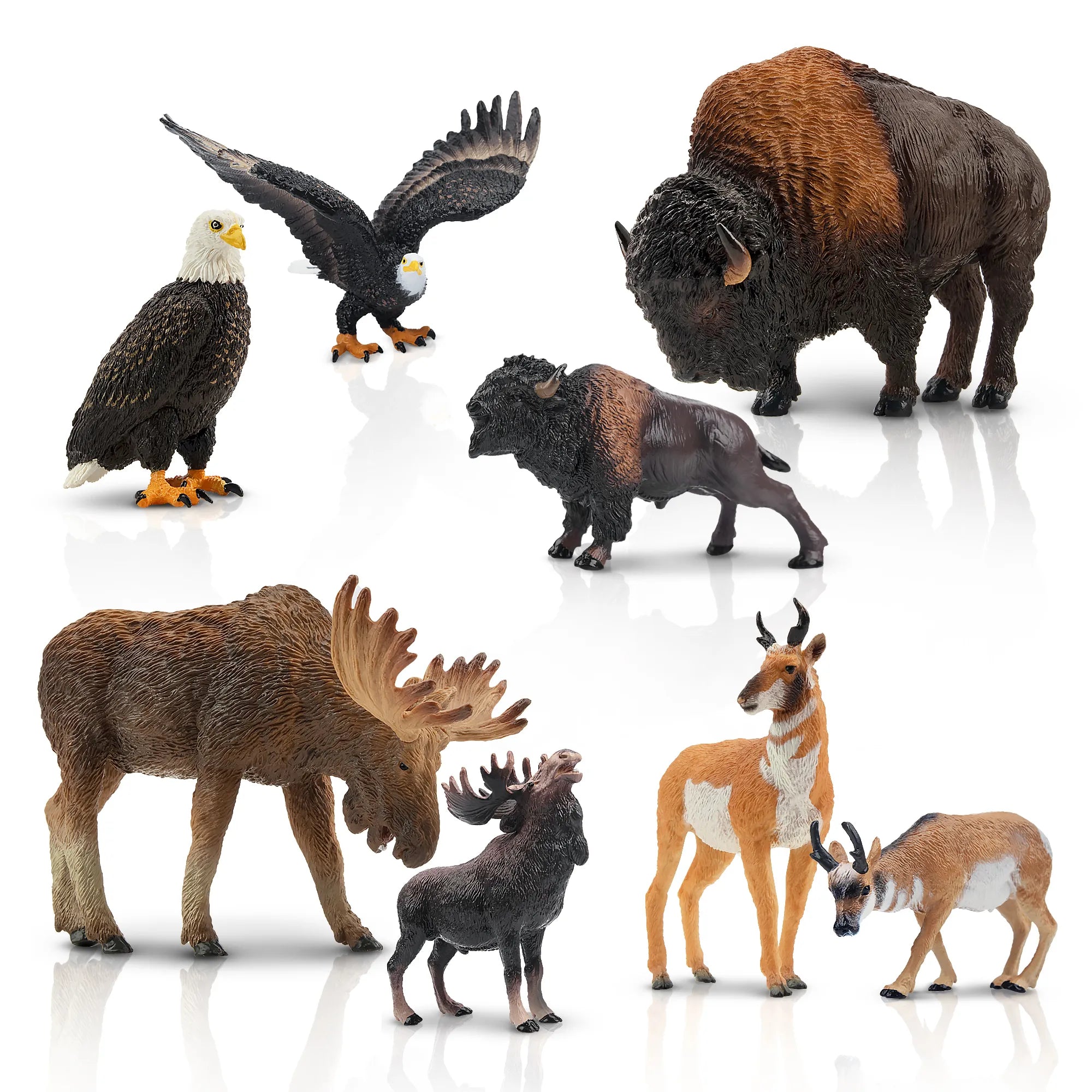 Juego de Figuras de Animales de la Fauna Silvestre de América del Norte de 8 Piezas (Comparación de Tamaños)