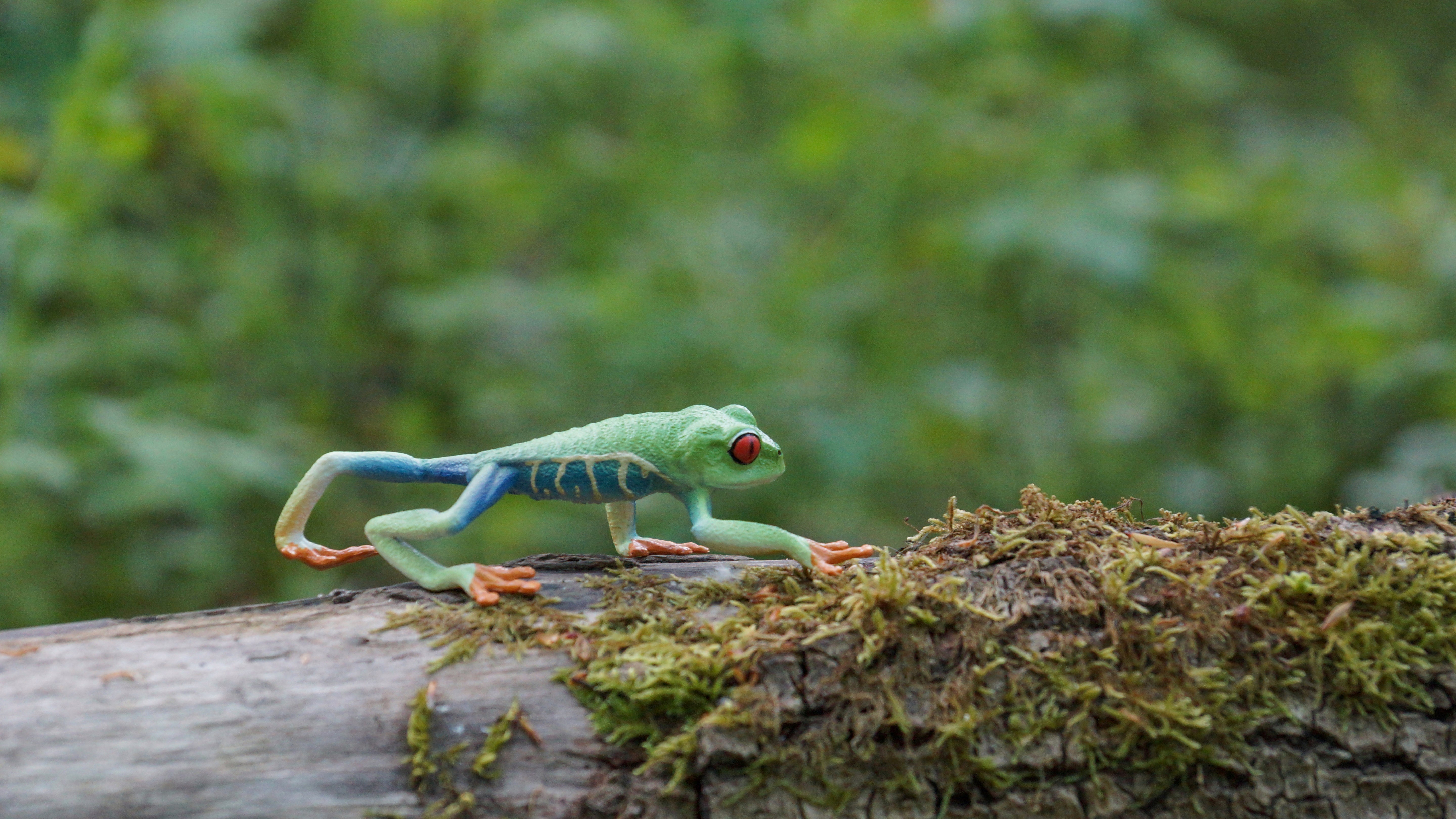 Toymany Red-eyed Tree Frog Figurine Toy