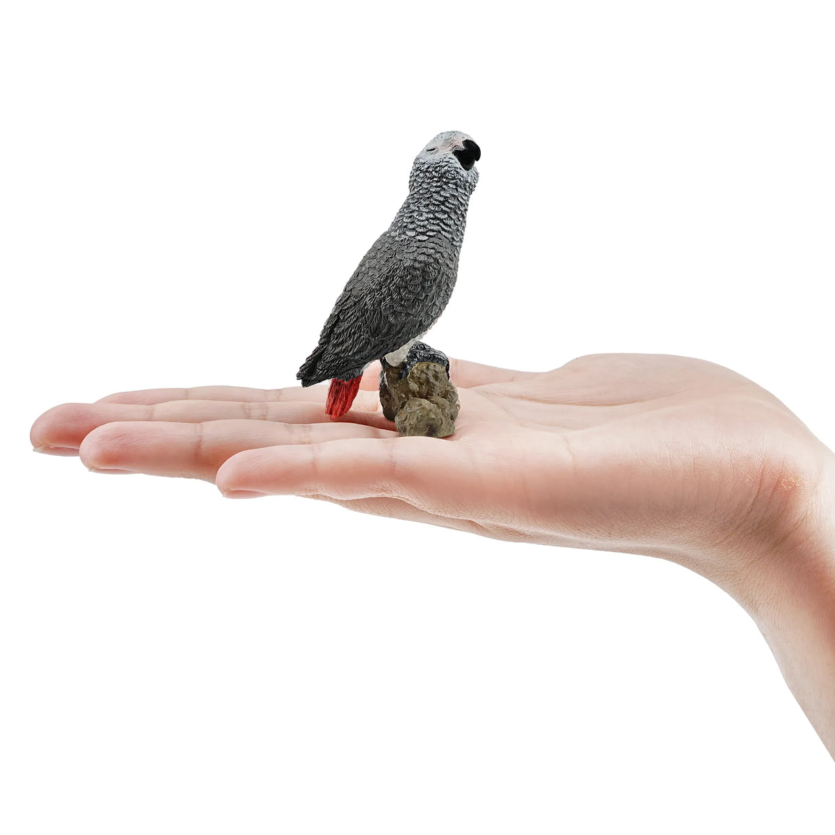 Toymany African Grey Parrot Figurine Toy-on hand