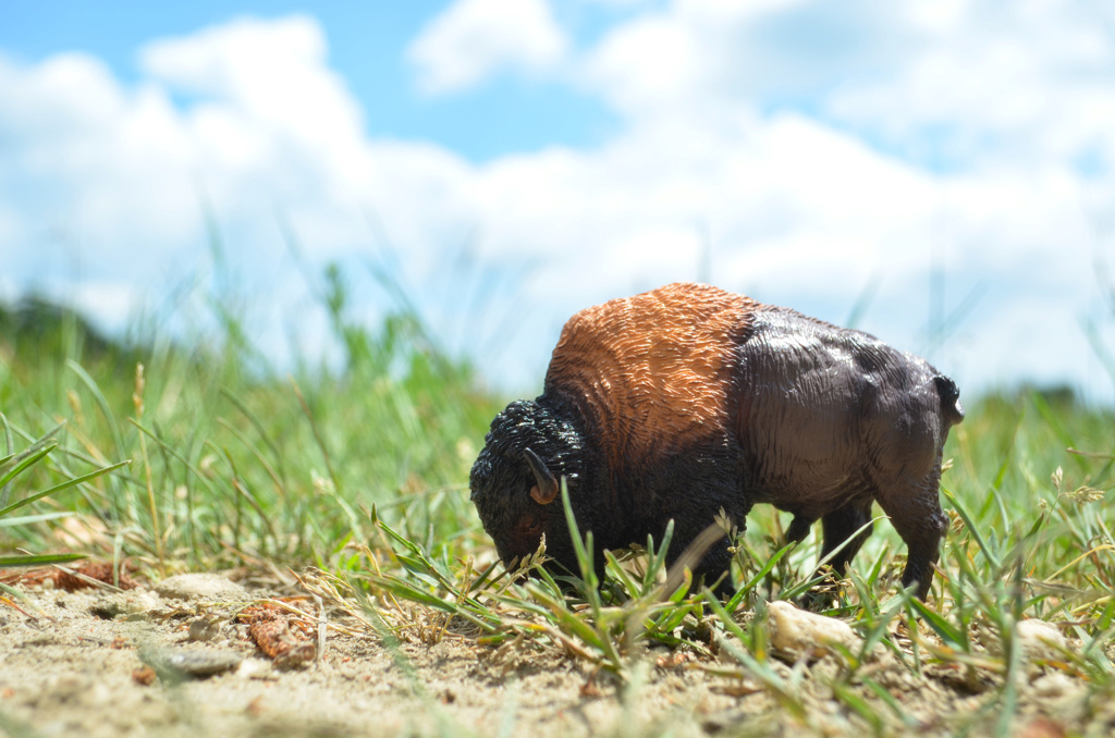 Toymany American Bison Figurine Toy-outdoor