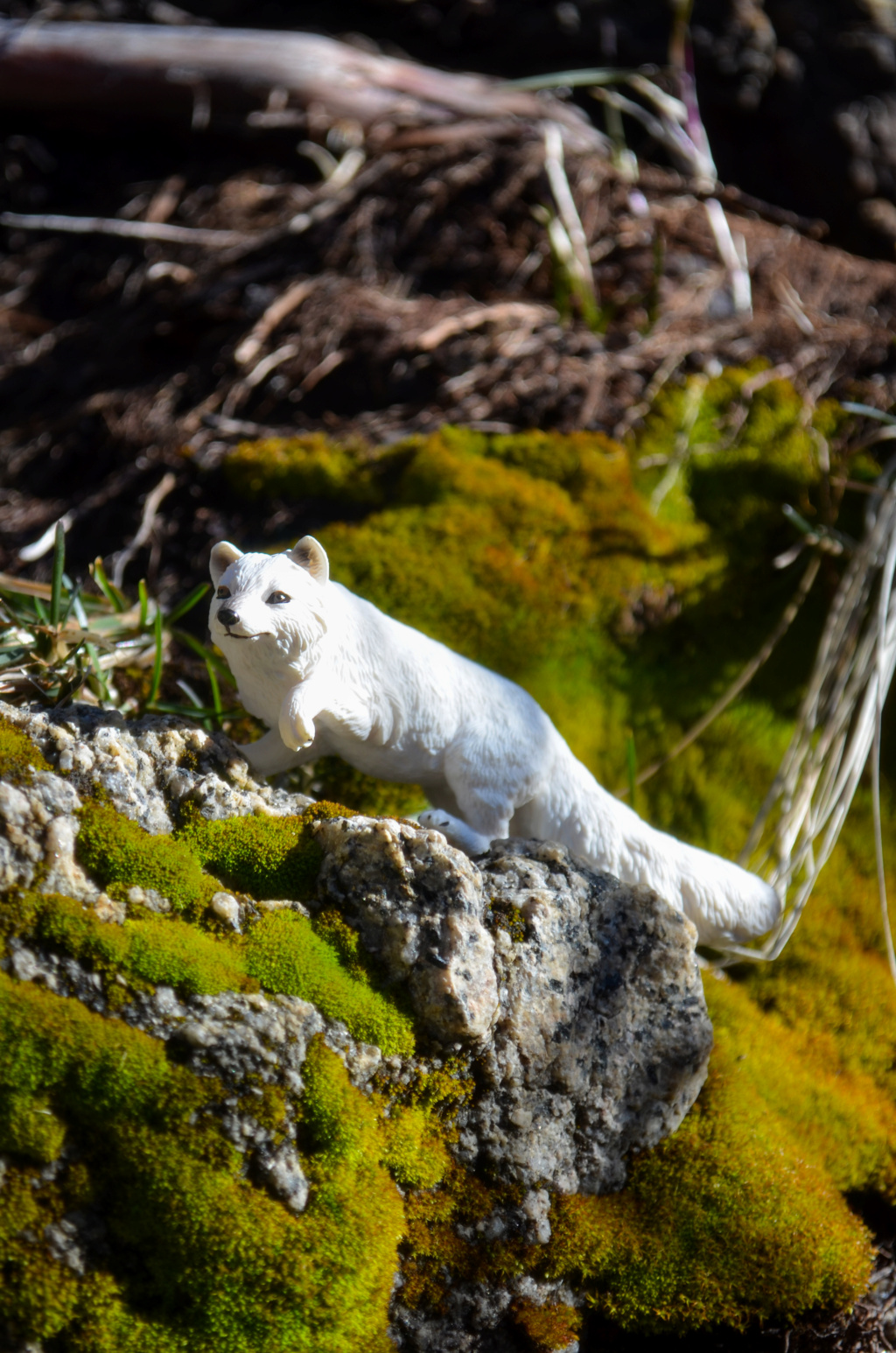 Toymany Arctic Fox Figurine Toy-outdoor 2