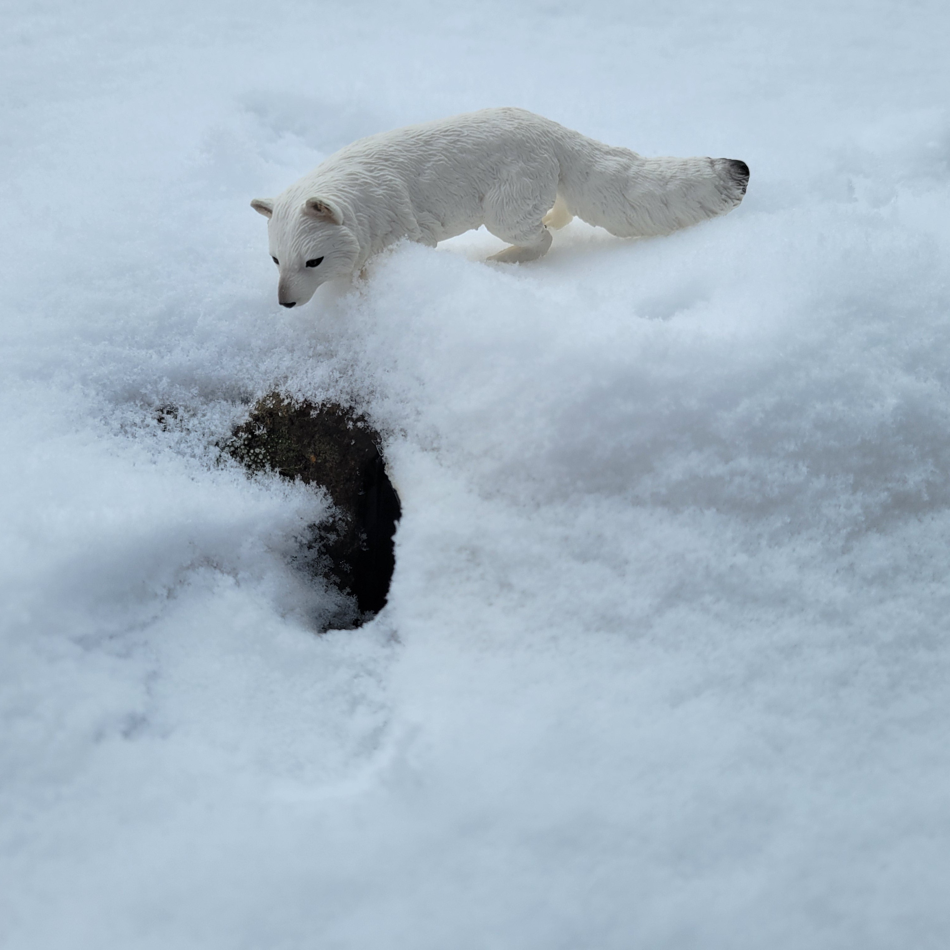 Toymany Arctic Fox Figurine Toy-snow