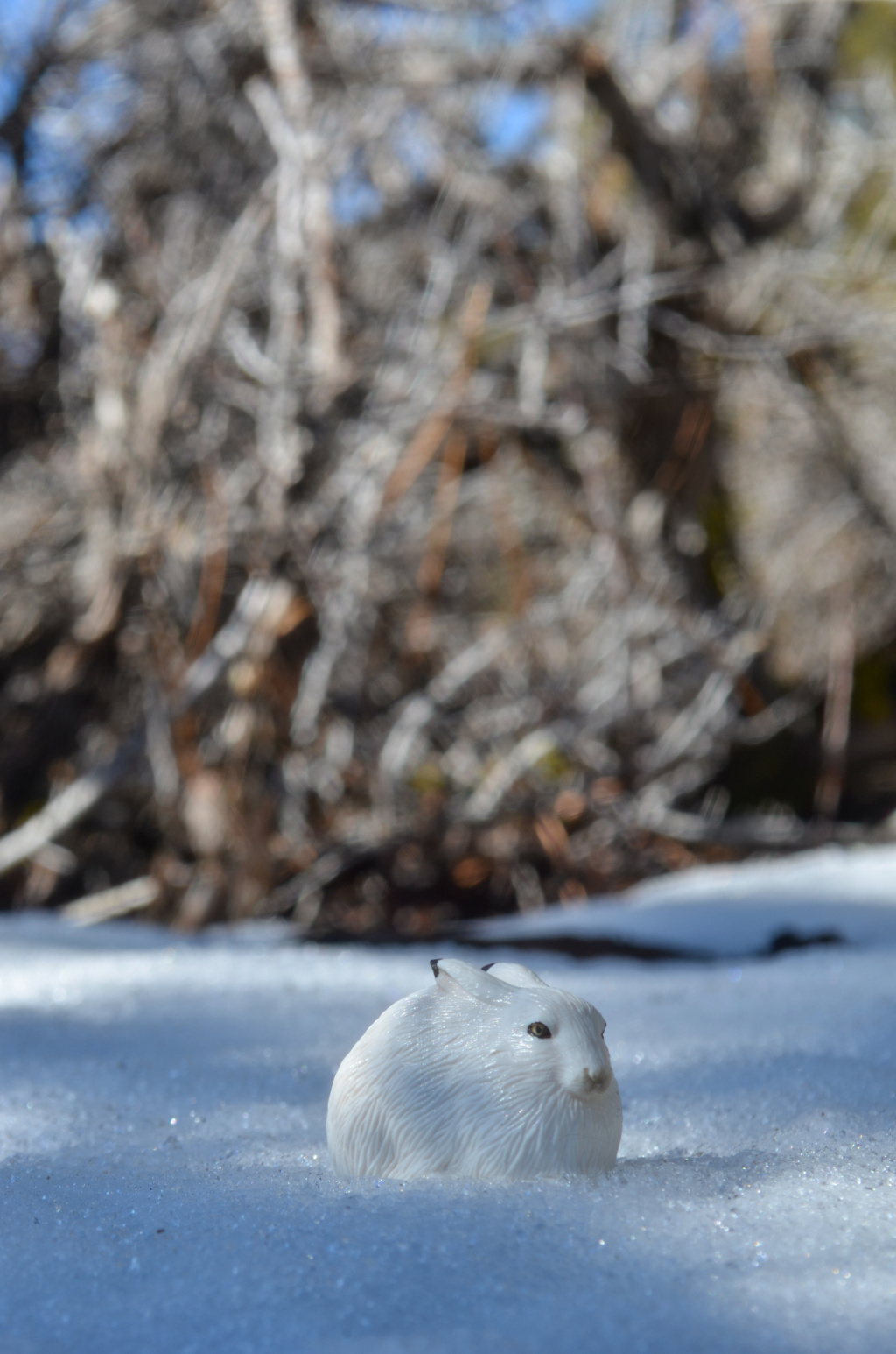 Toymany Arctic Hare Figurine Toy-outdoor