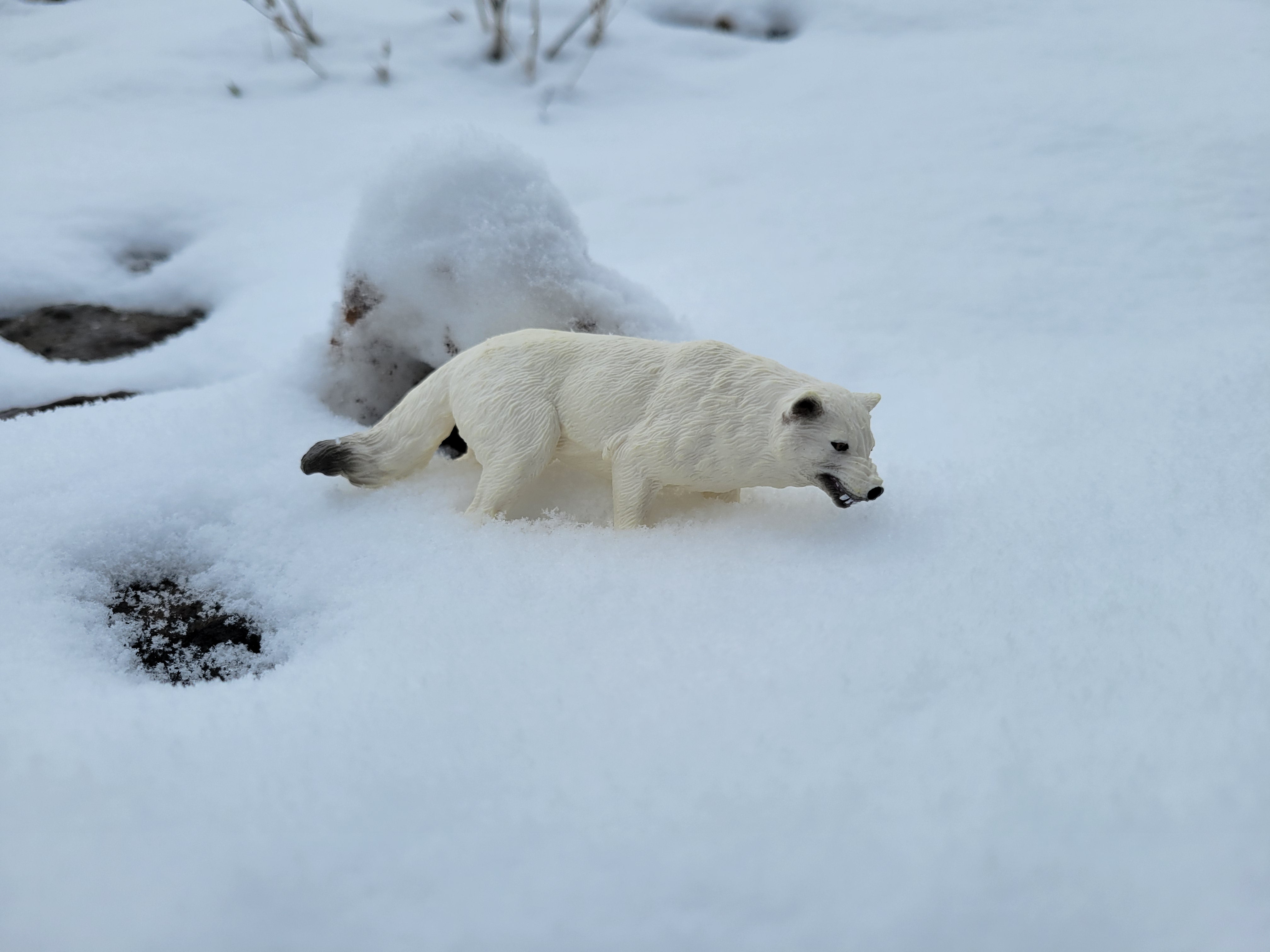 Toymany Arctic Wolf Figurine Toy-outdoor