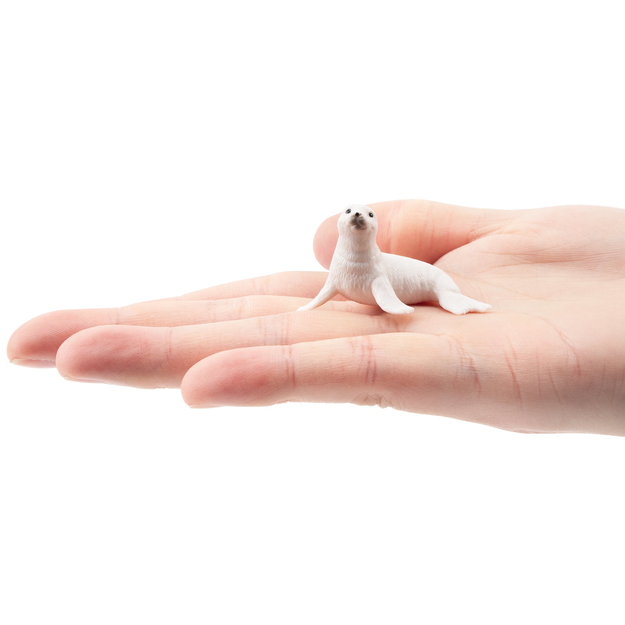 Toymany Arctic seals Figurine Toy-on hand