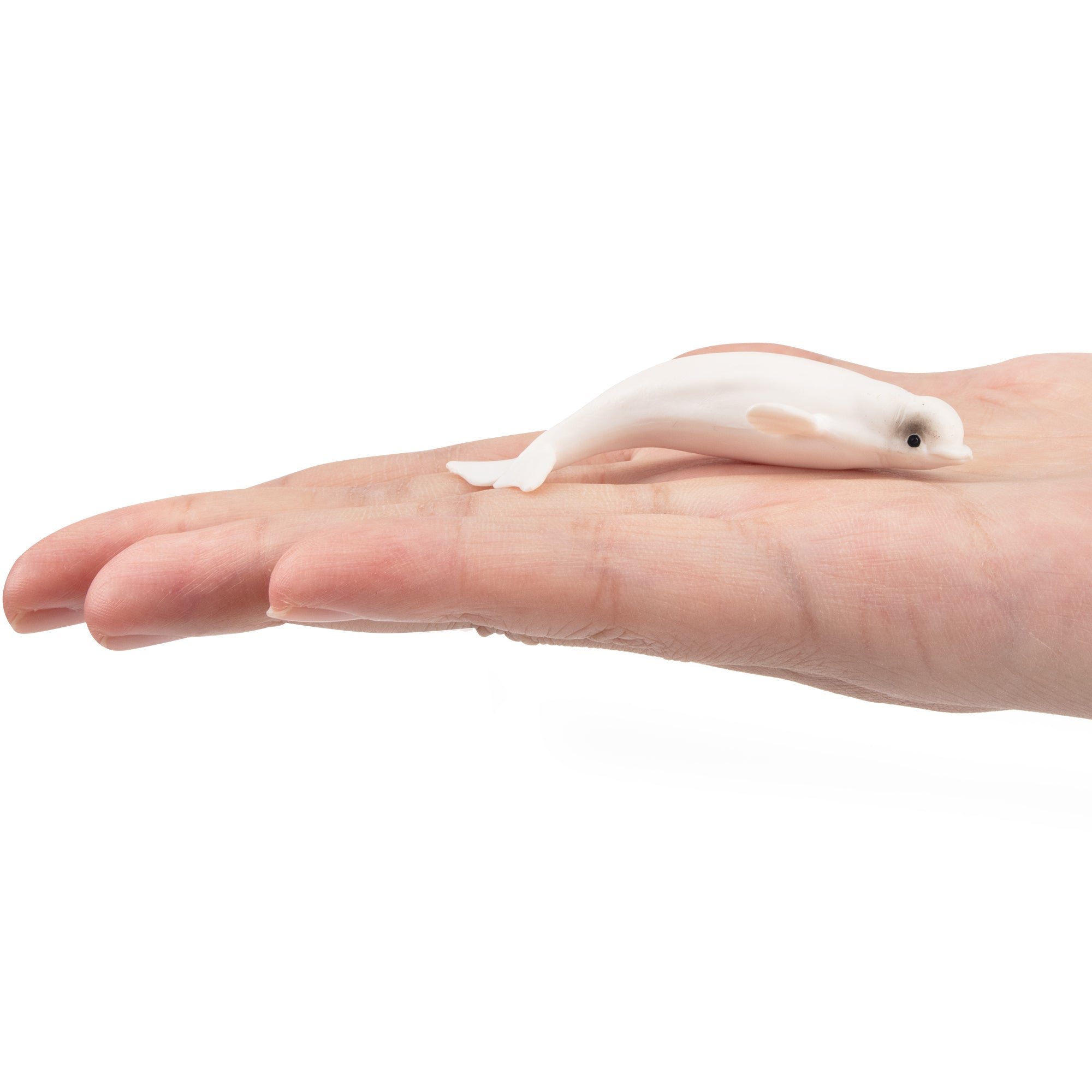 Toymany Beluga Figurine Toy-on hand