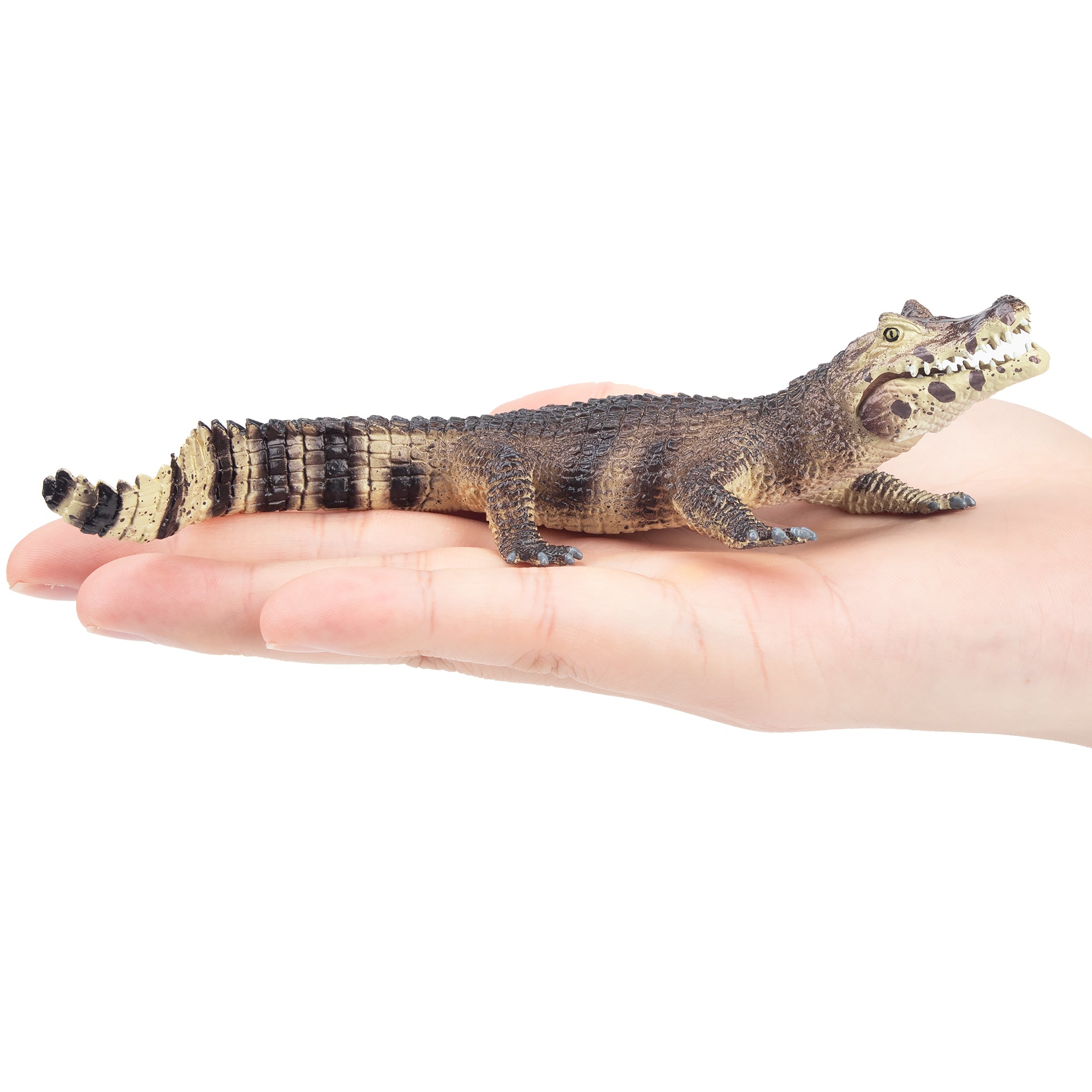 Toymany Black Caiman Figurine Toy-on hand