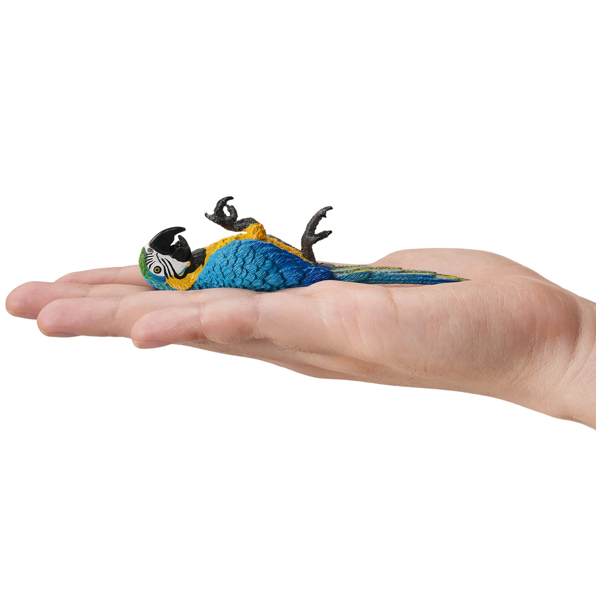 Toymany Blue-and-yellow Macaw Figurine Toy-on hand
