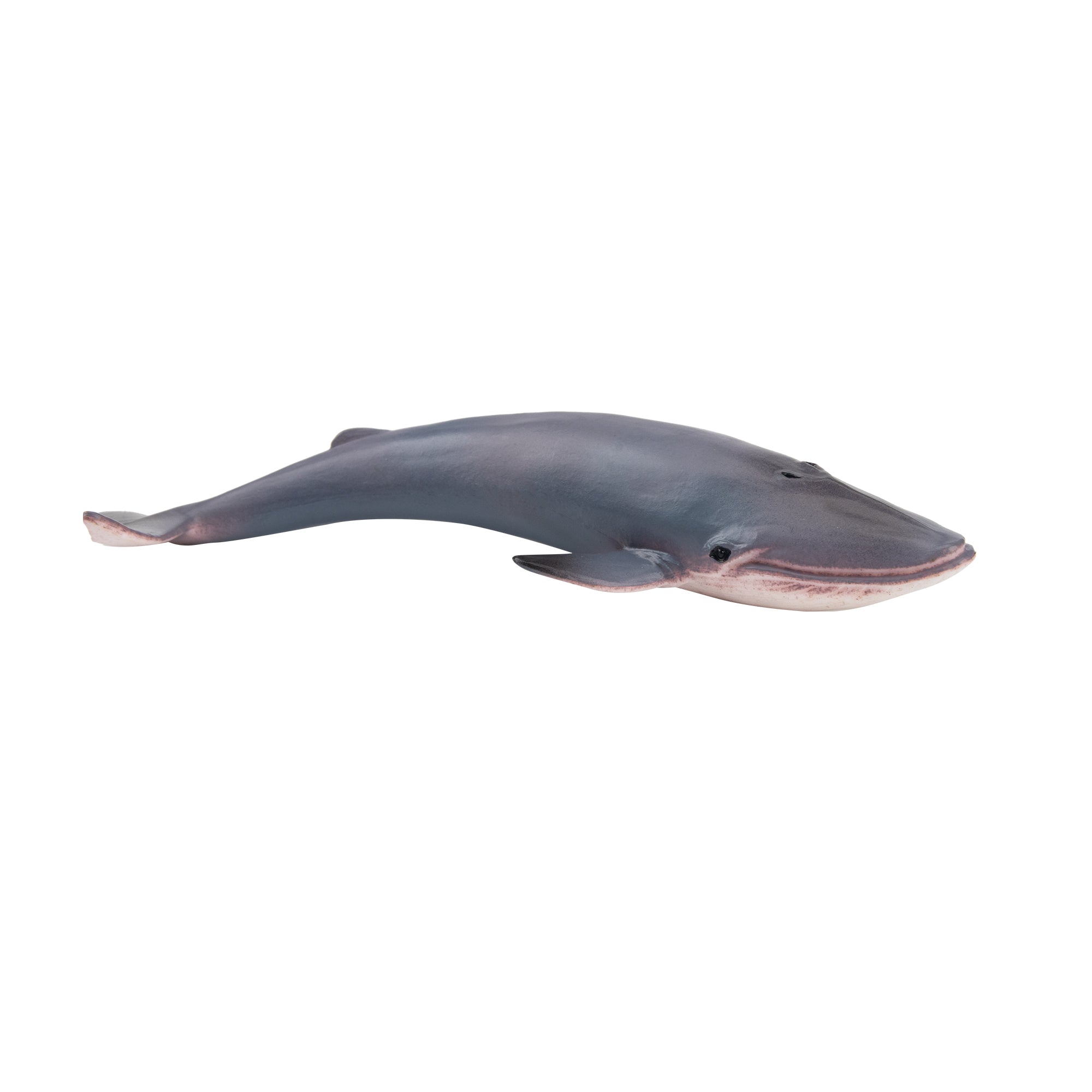 Toymany Blue Whale Figurine Toy-2