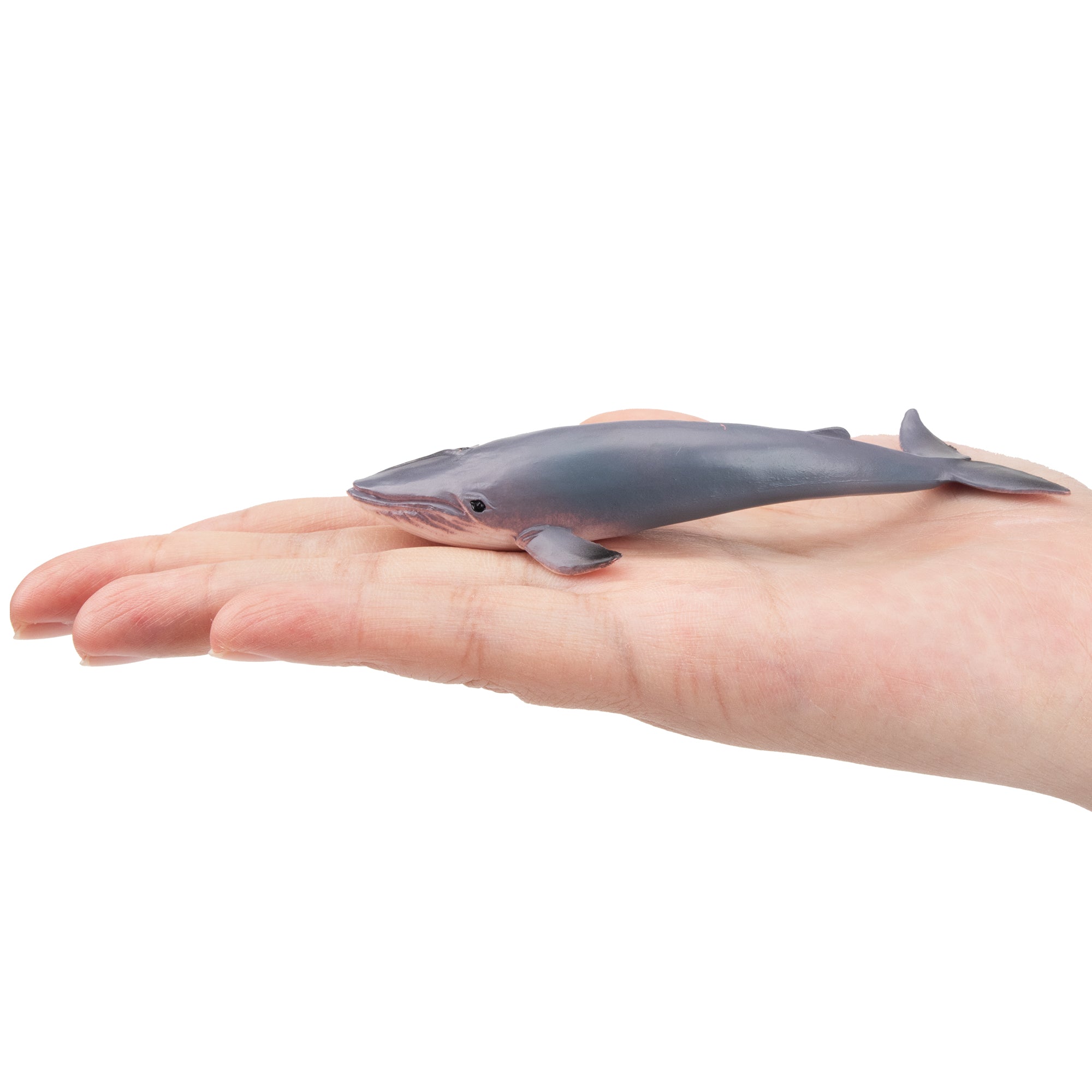 Toymany Blue Whale Figurine Toy-on hand