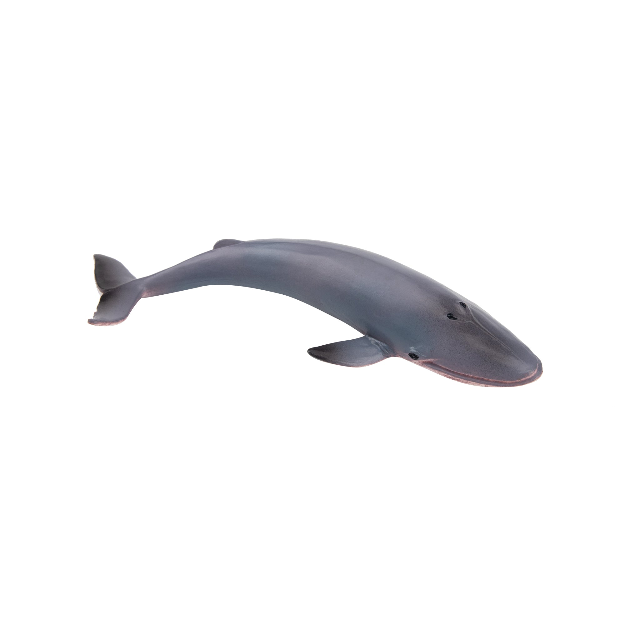 Toymany Blue Whale Figurine Toy-side
