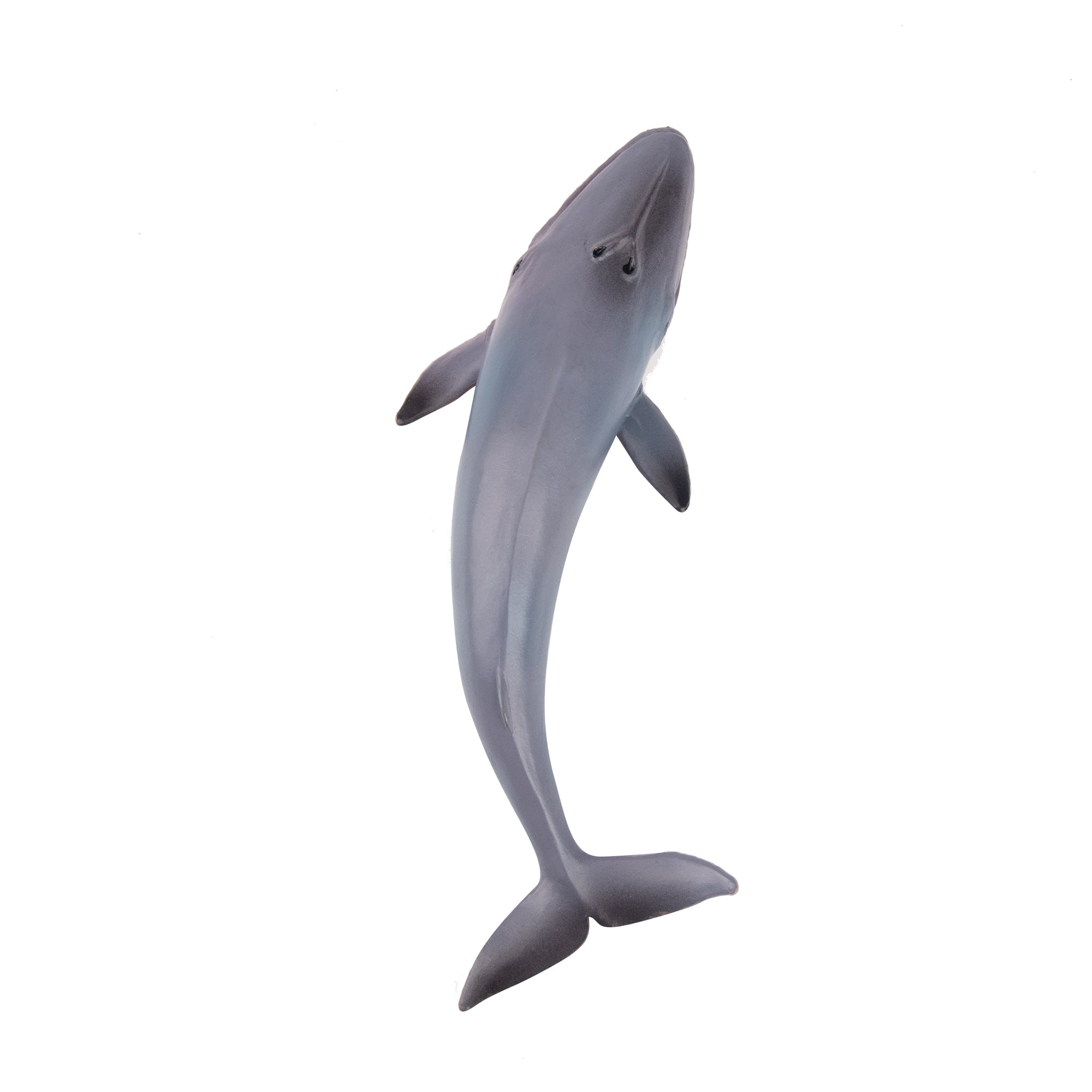 Toymany Blue Whale Figurine Toy-top