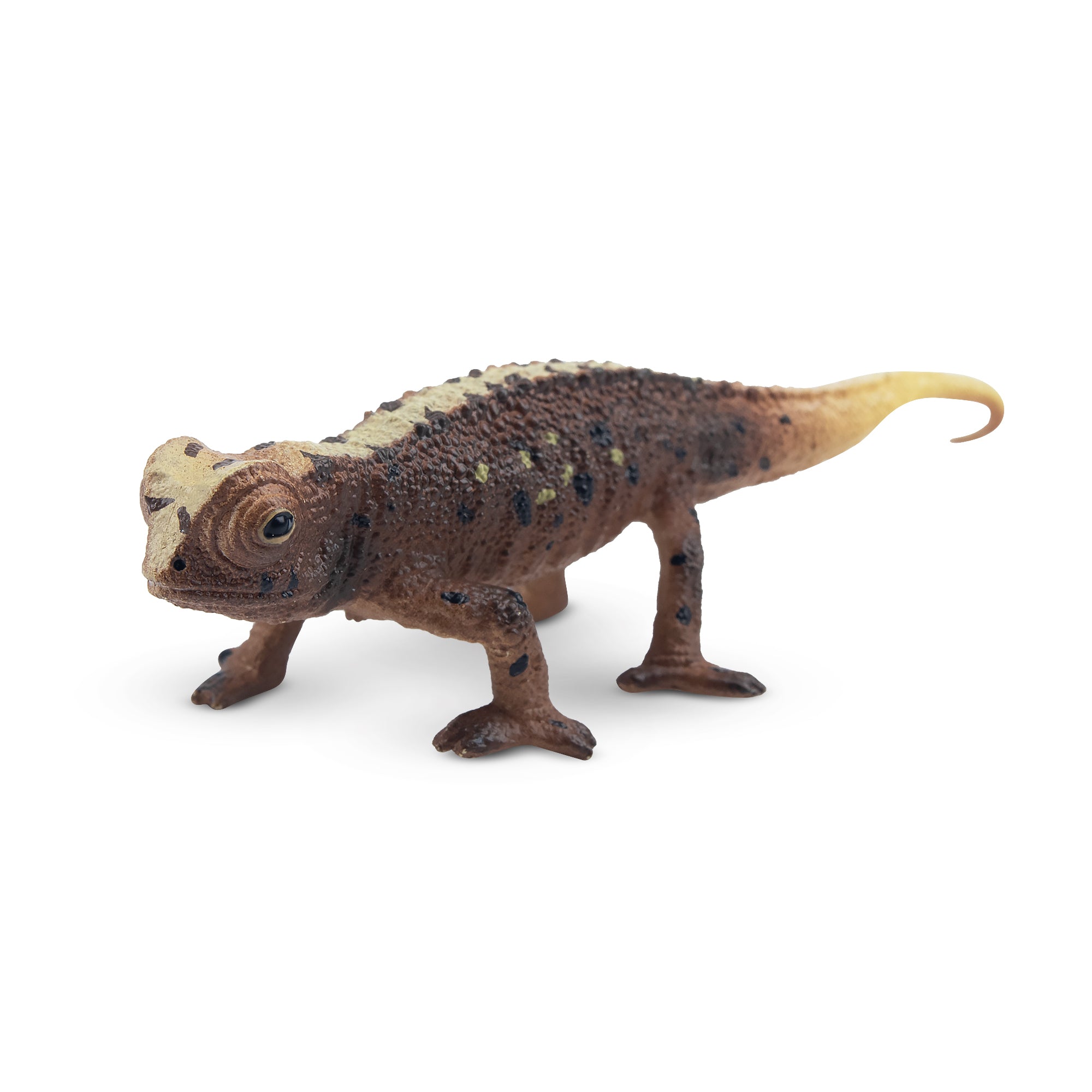 Toymany Brookesia Micra Figurine Toy-1