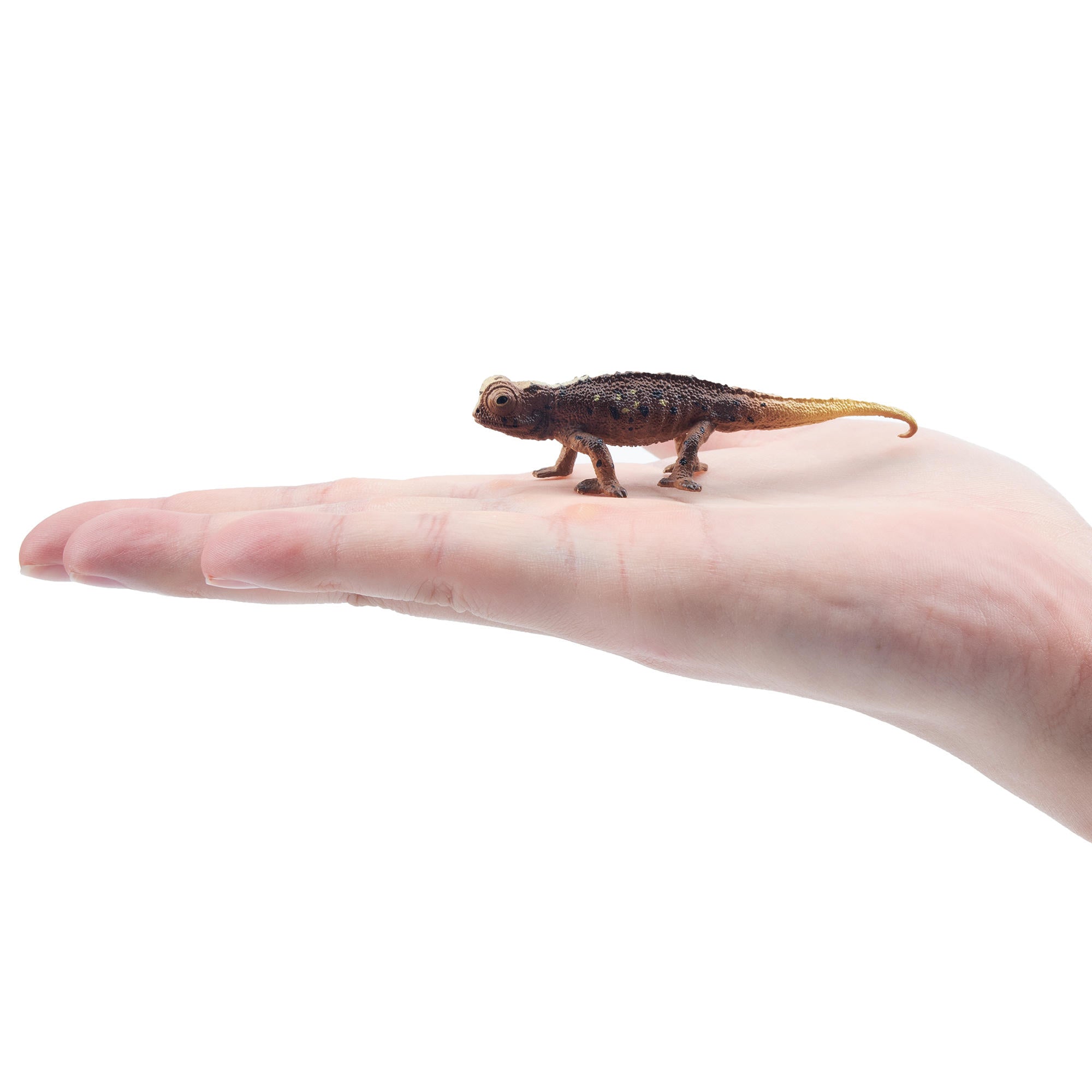 Toymany Brookesia Micra Figurine Toy-on hand
