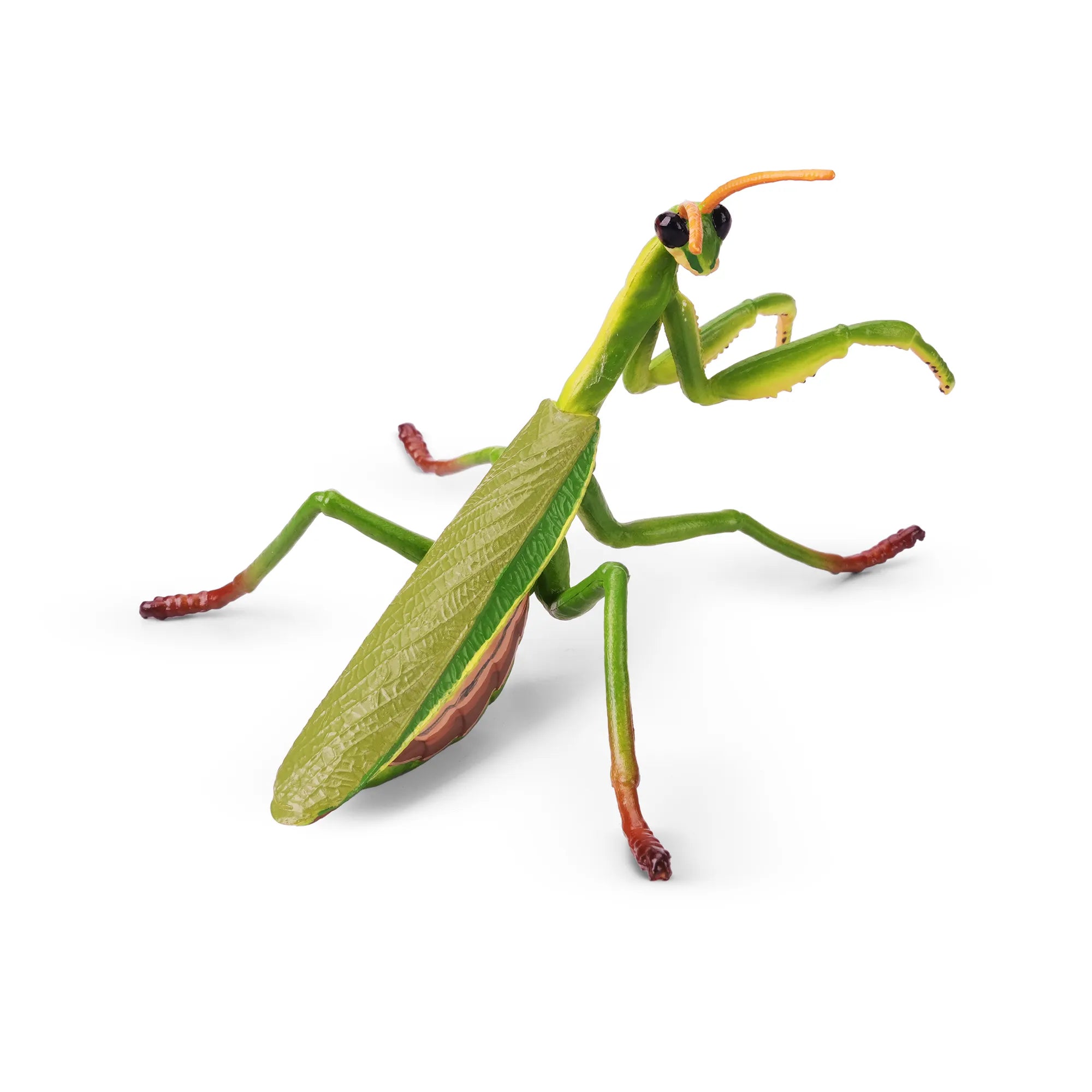 Toymany Chinese Mantis Figurine Toy