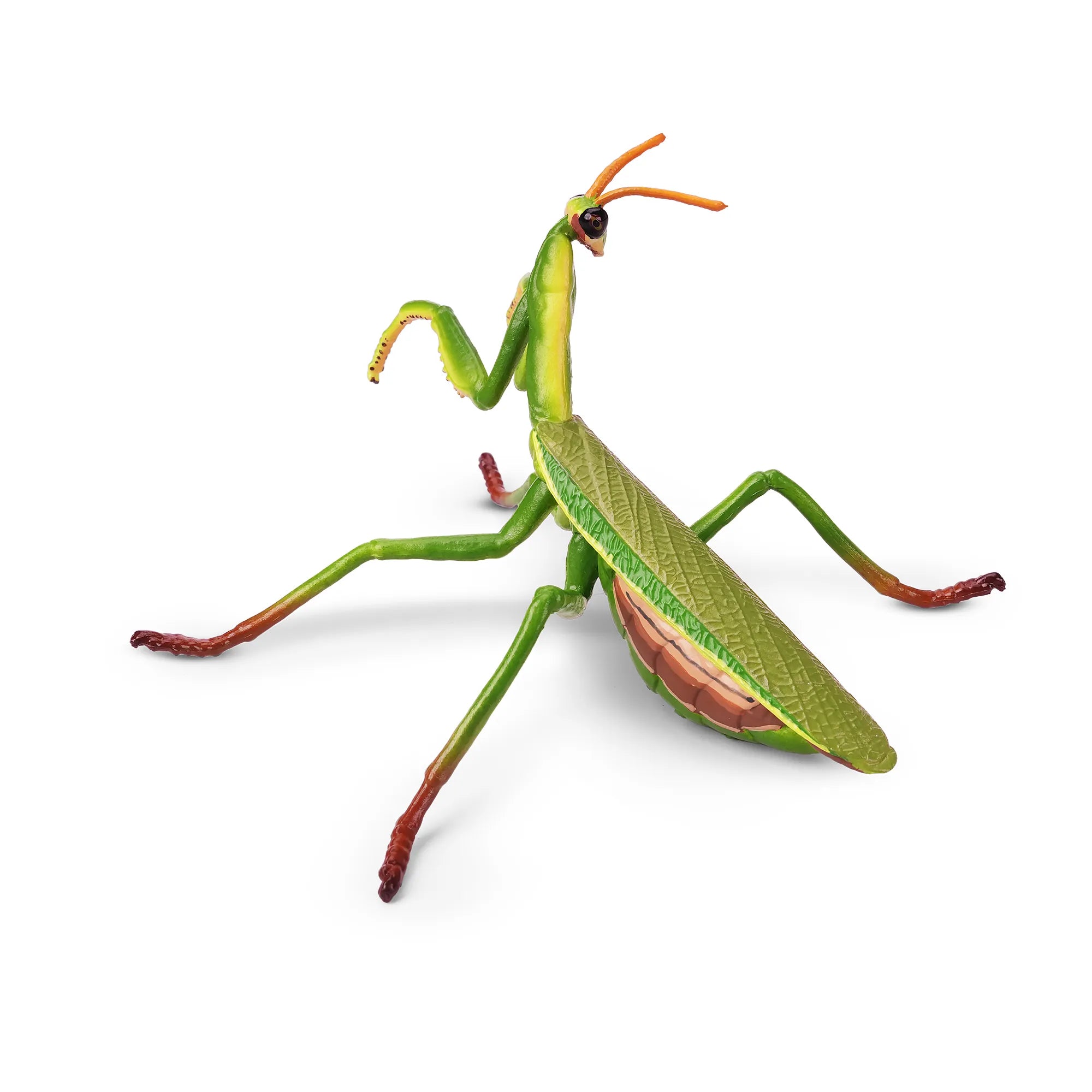 Toymany Chinese Mantis Figurine Toy