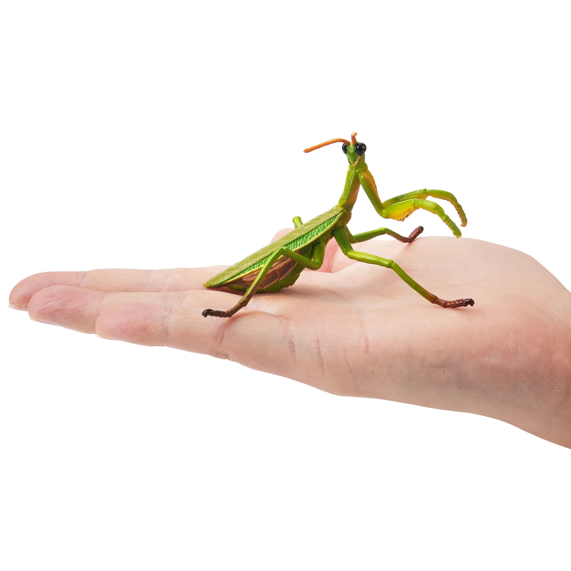 Figura de Mantis china Toymany